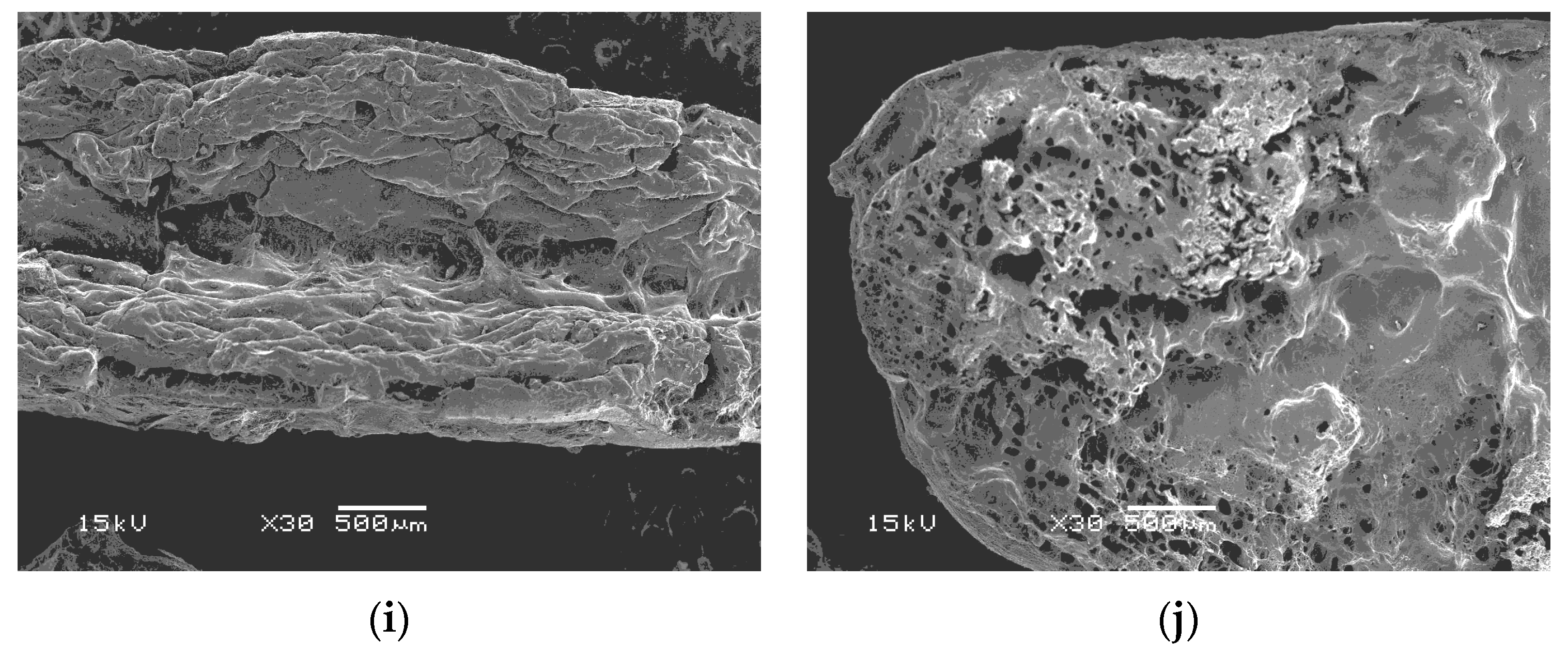Processes 09 01738 g005b