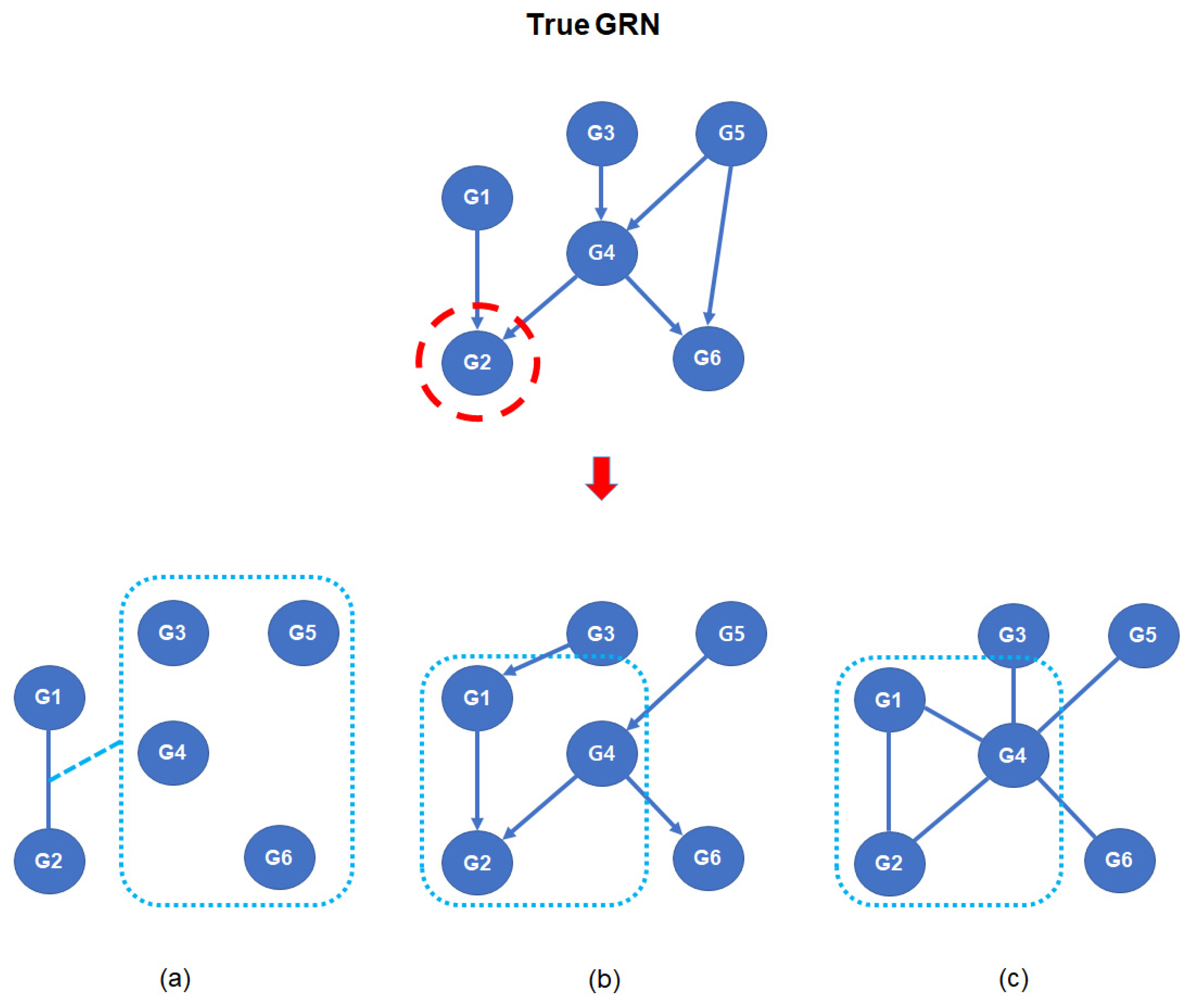 Processes Free FullText Estimation of Gene Regulatory Networks