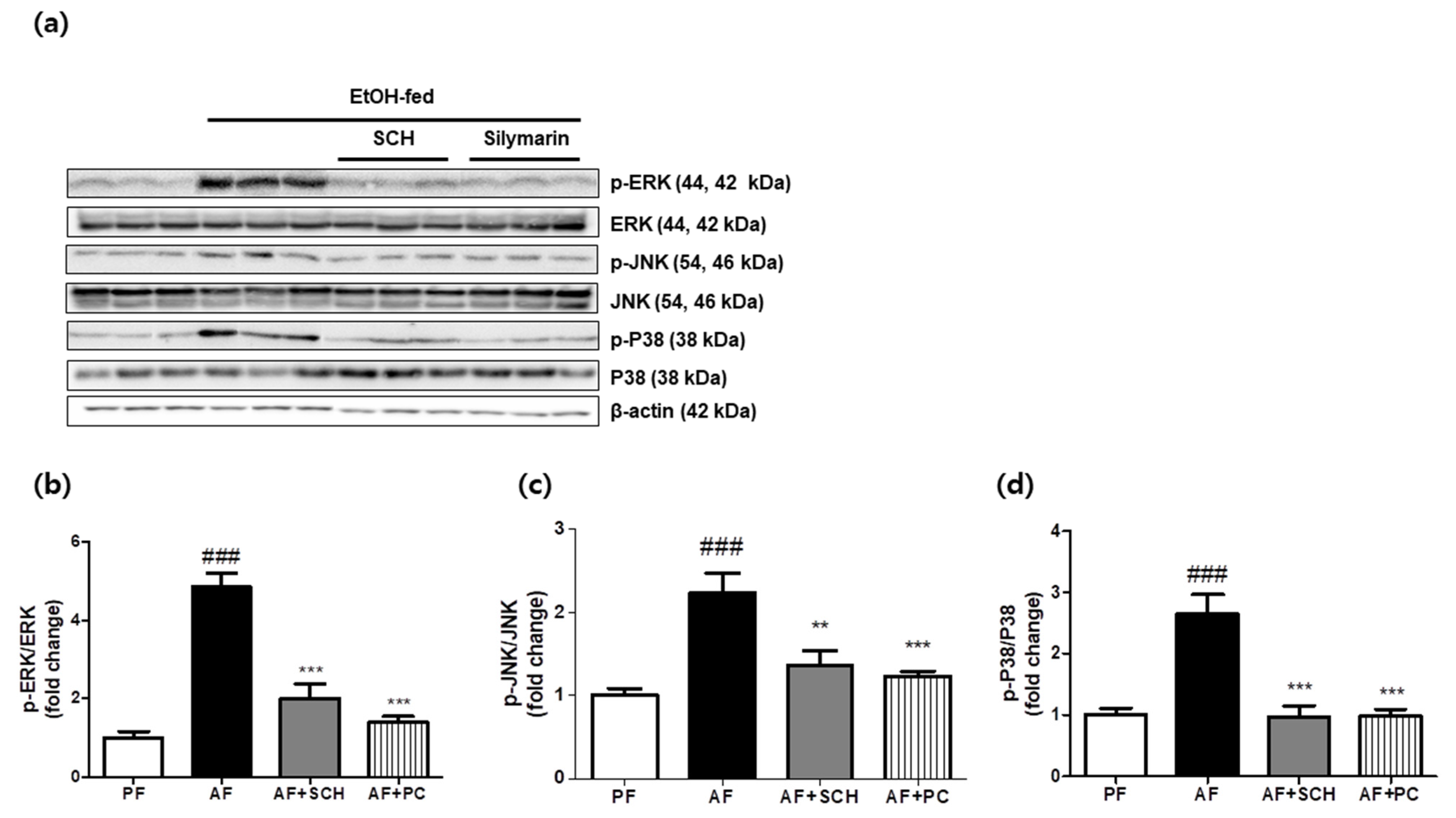 Processes 09 01760 g004 550