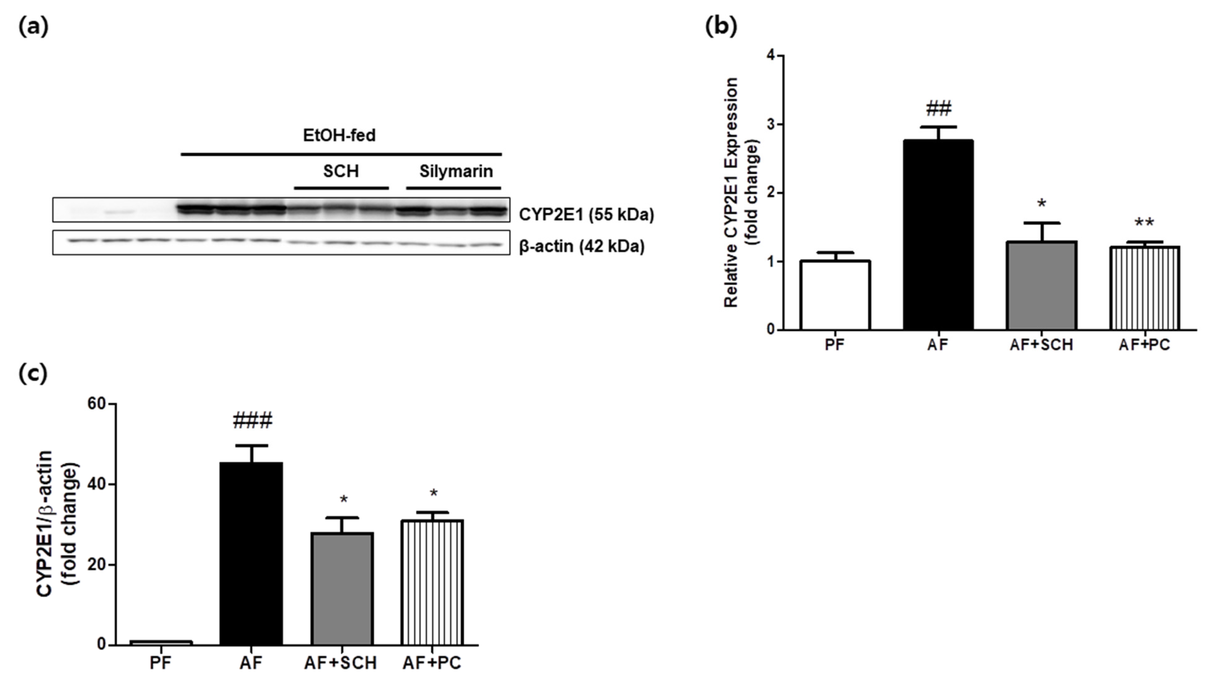 Processes 09 01760 g006 550