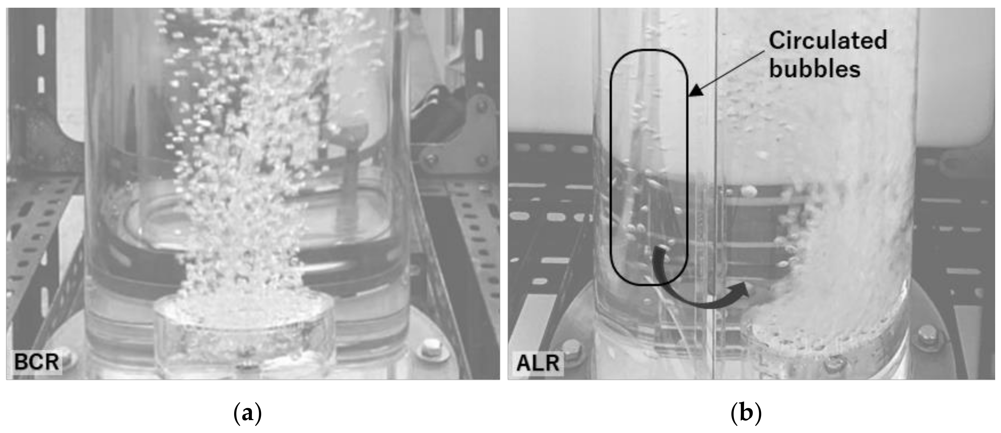 Processes 09 01765 g004