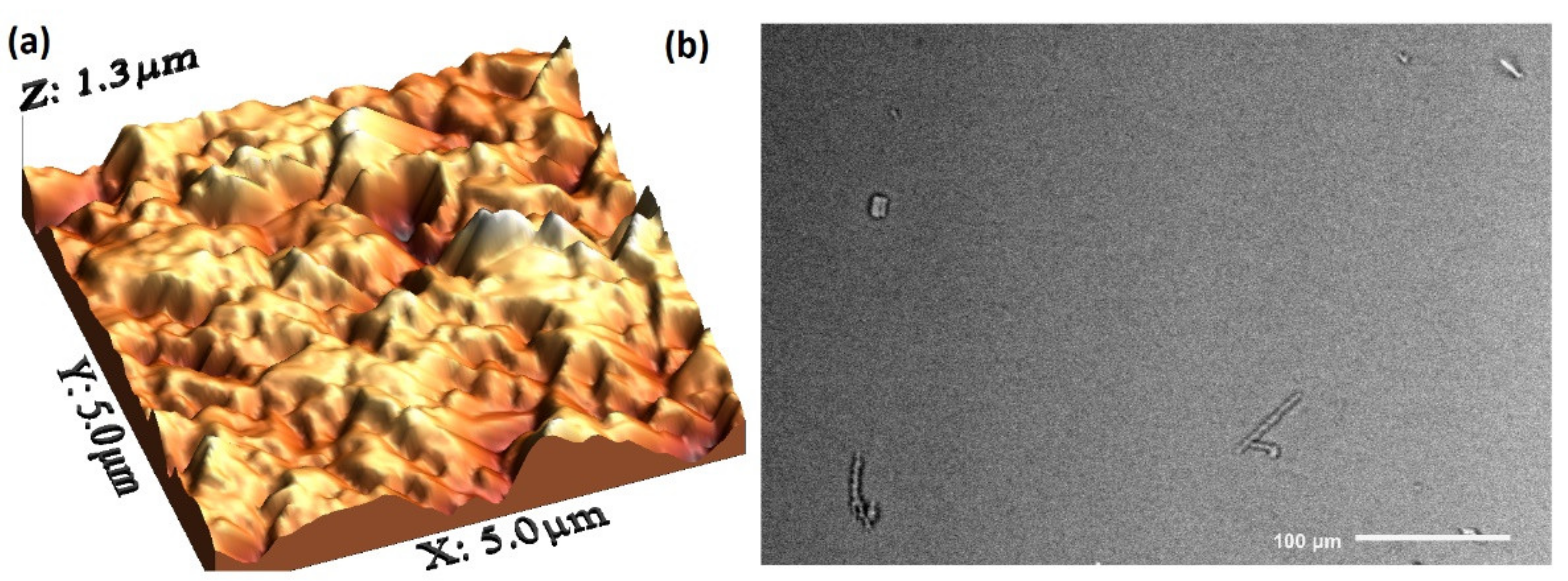 Processes 09 01776 g002a 550