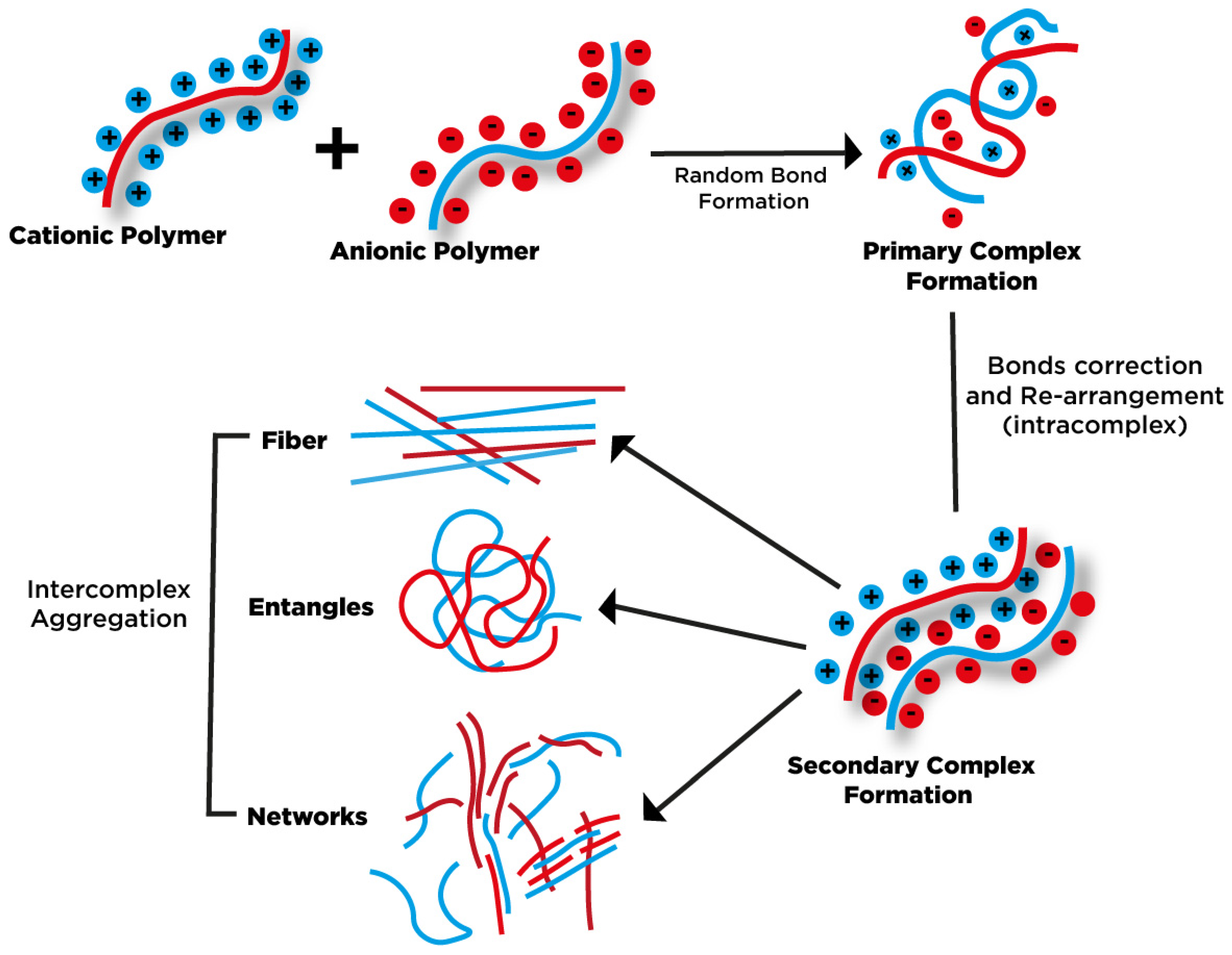 A Review of Gum Hydrocolloid Polyelectrolyte Complexes (PEC) for 