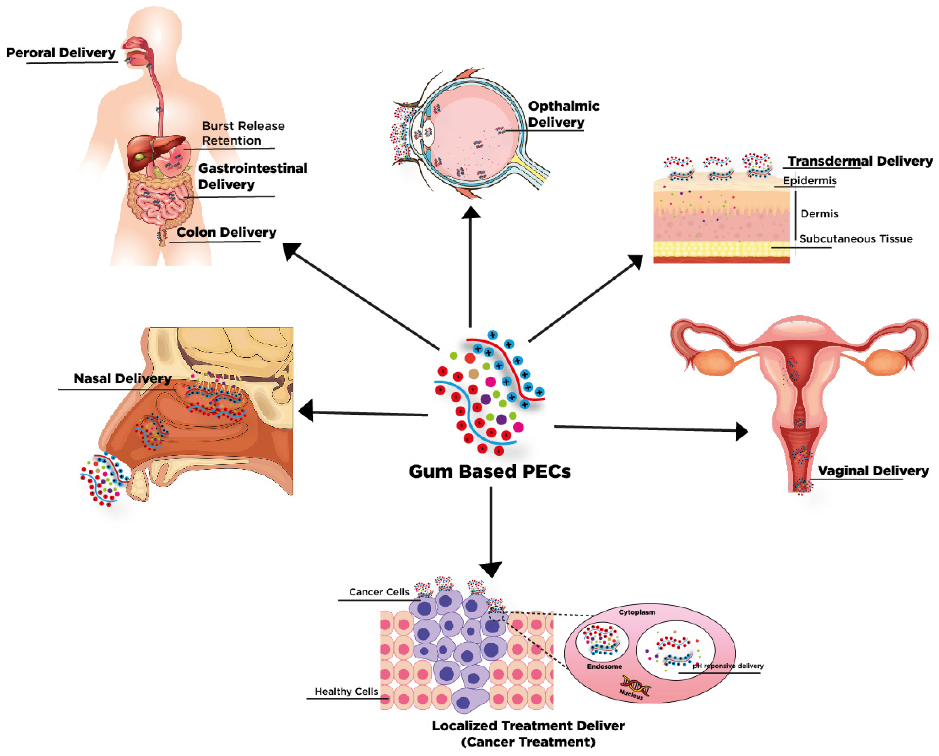 Processes 09 01796 g002