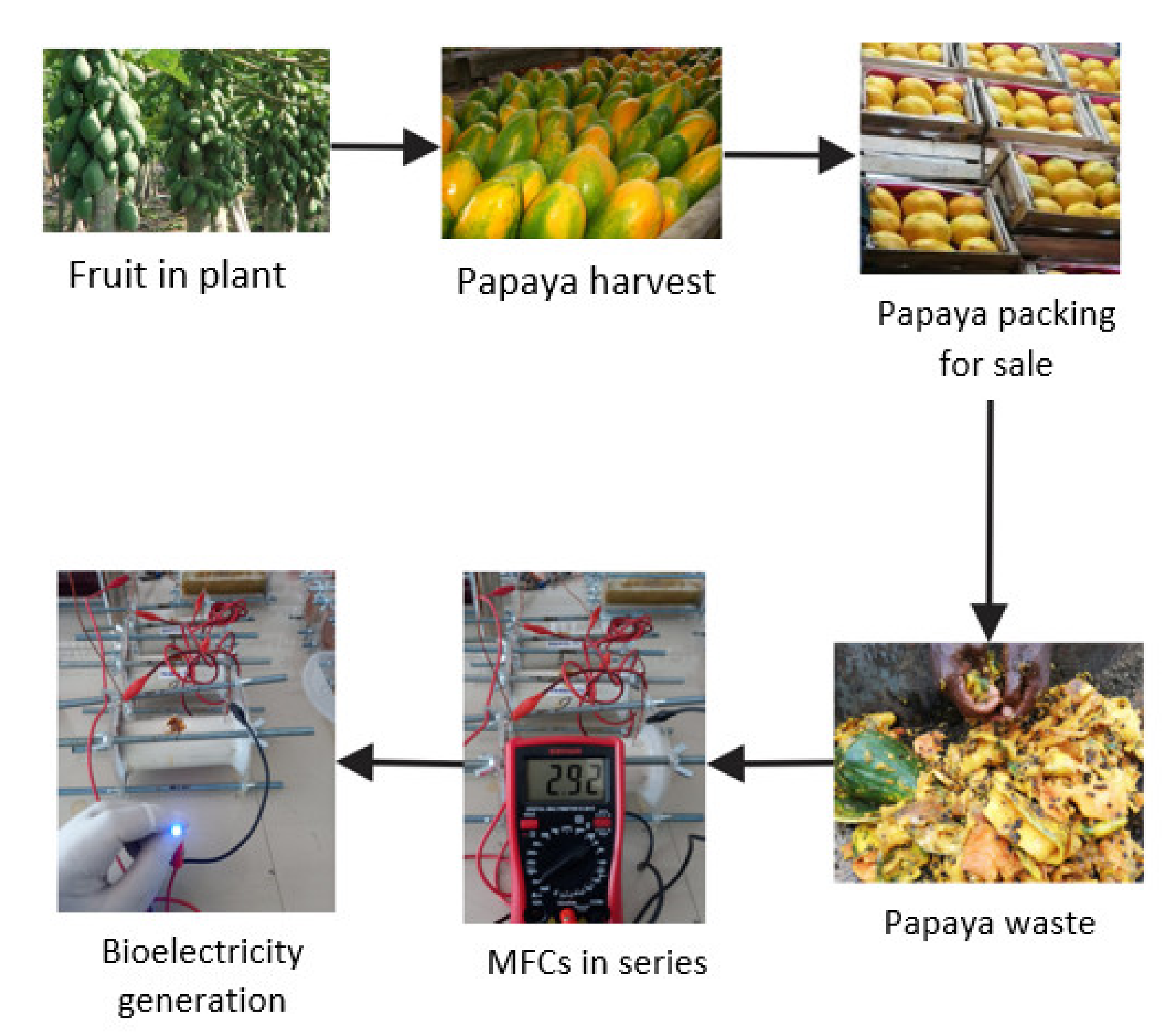 Processes 09 01799 g007