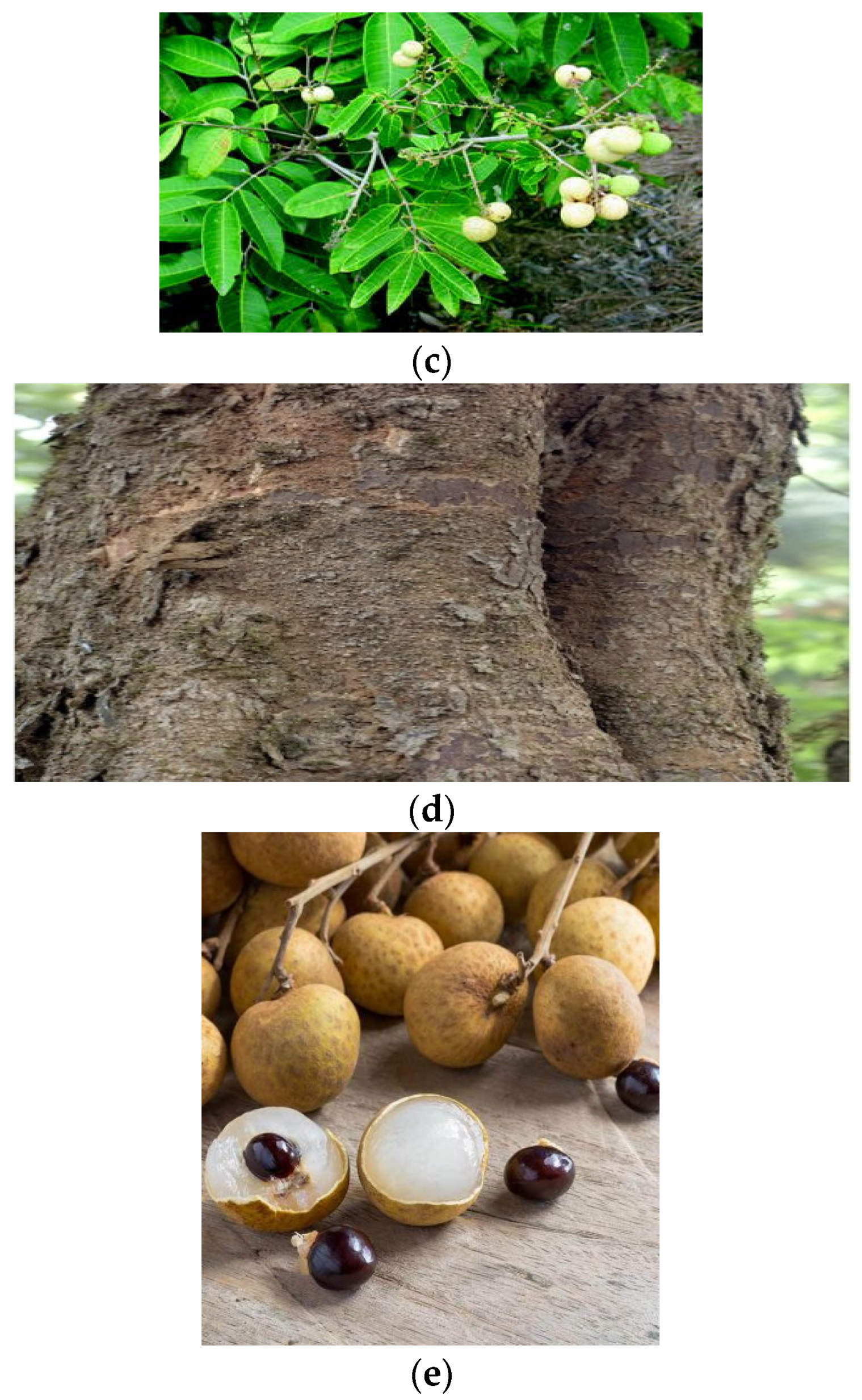 Processes 09 01803 g001b