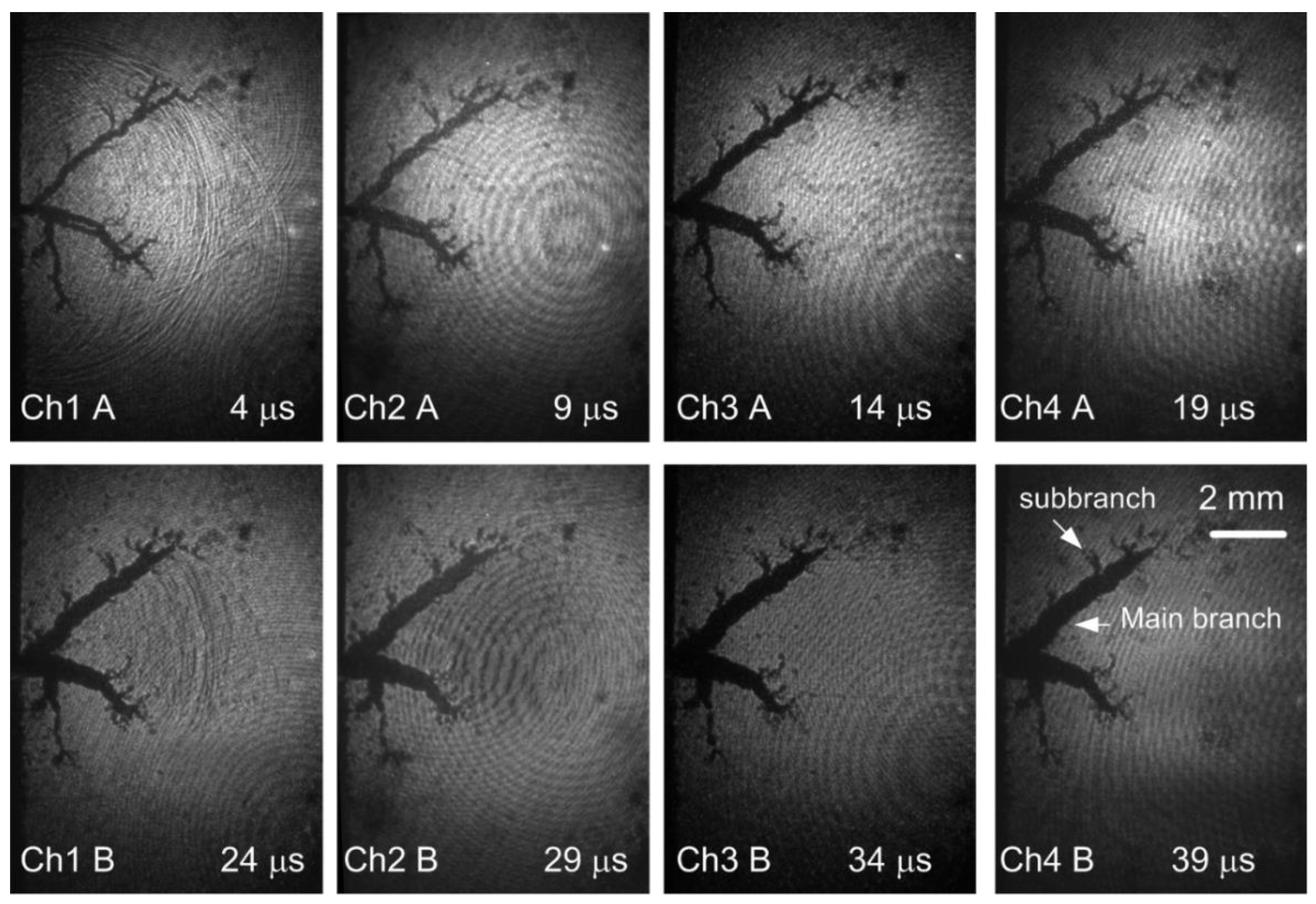 Processes 09 01809 g002 550