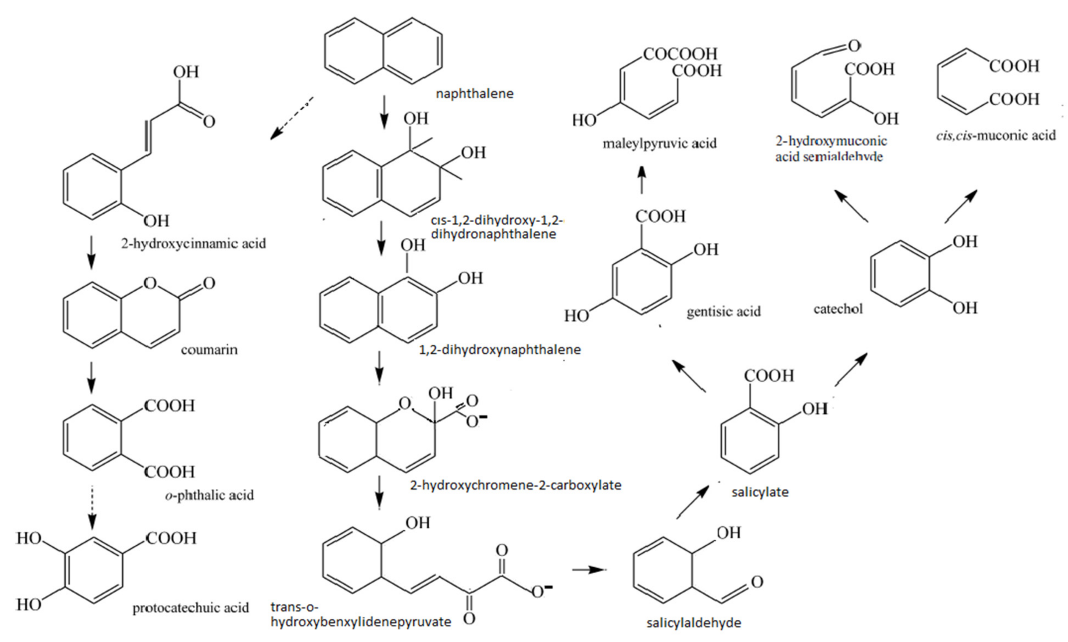 Processes 09 01862 g001 Processes 09 01862 g001