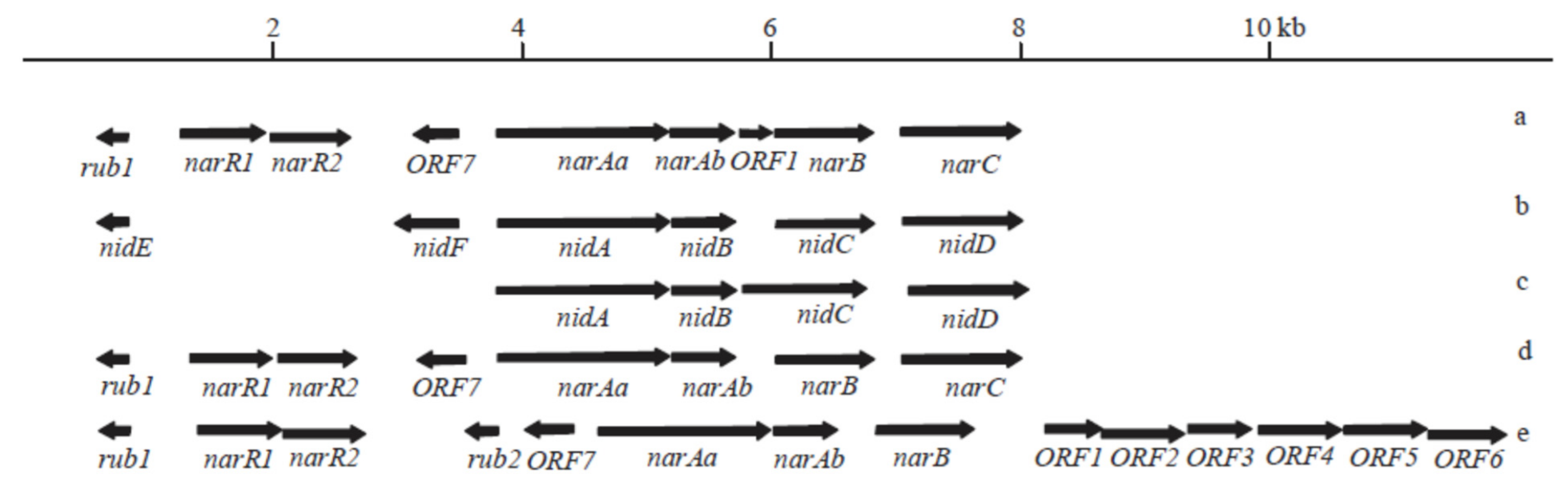 Processes 09 01862 g002 Processes 09 01862 g002