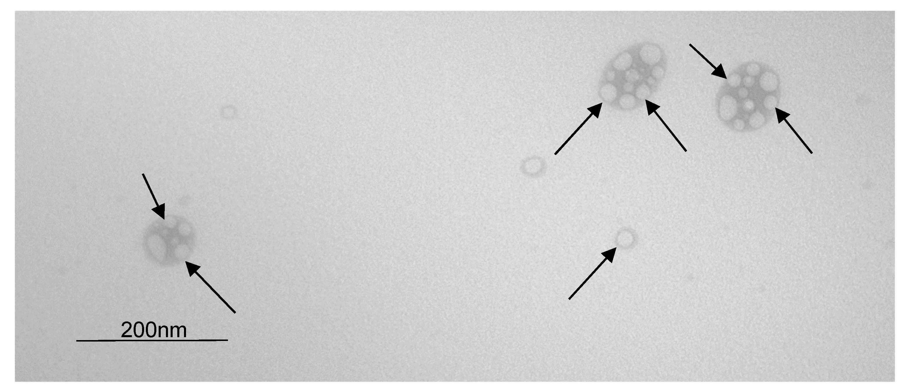 Processes 09 01872 g003 550