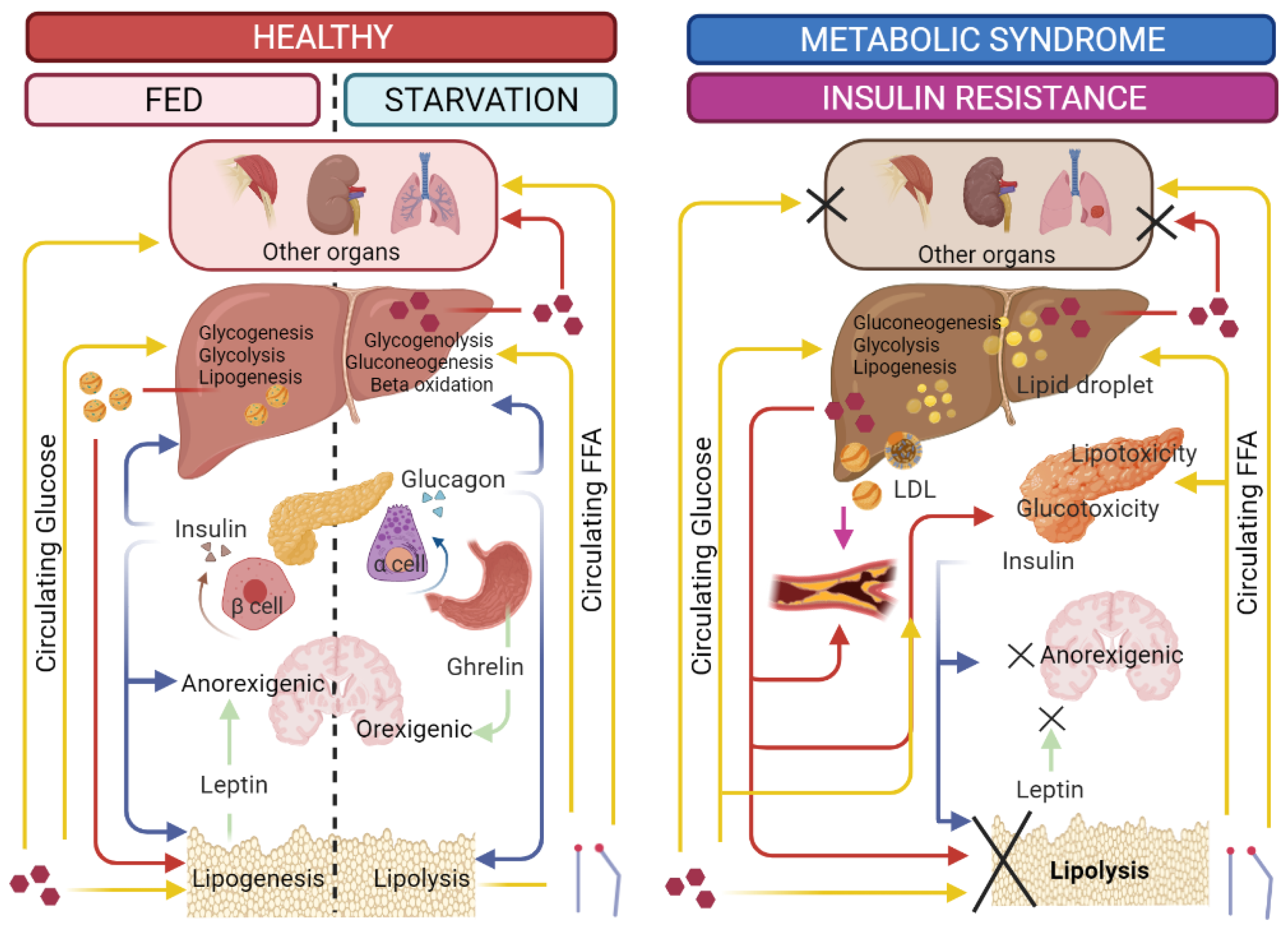 Processes 09 01876 g002