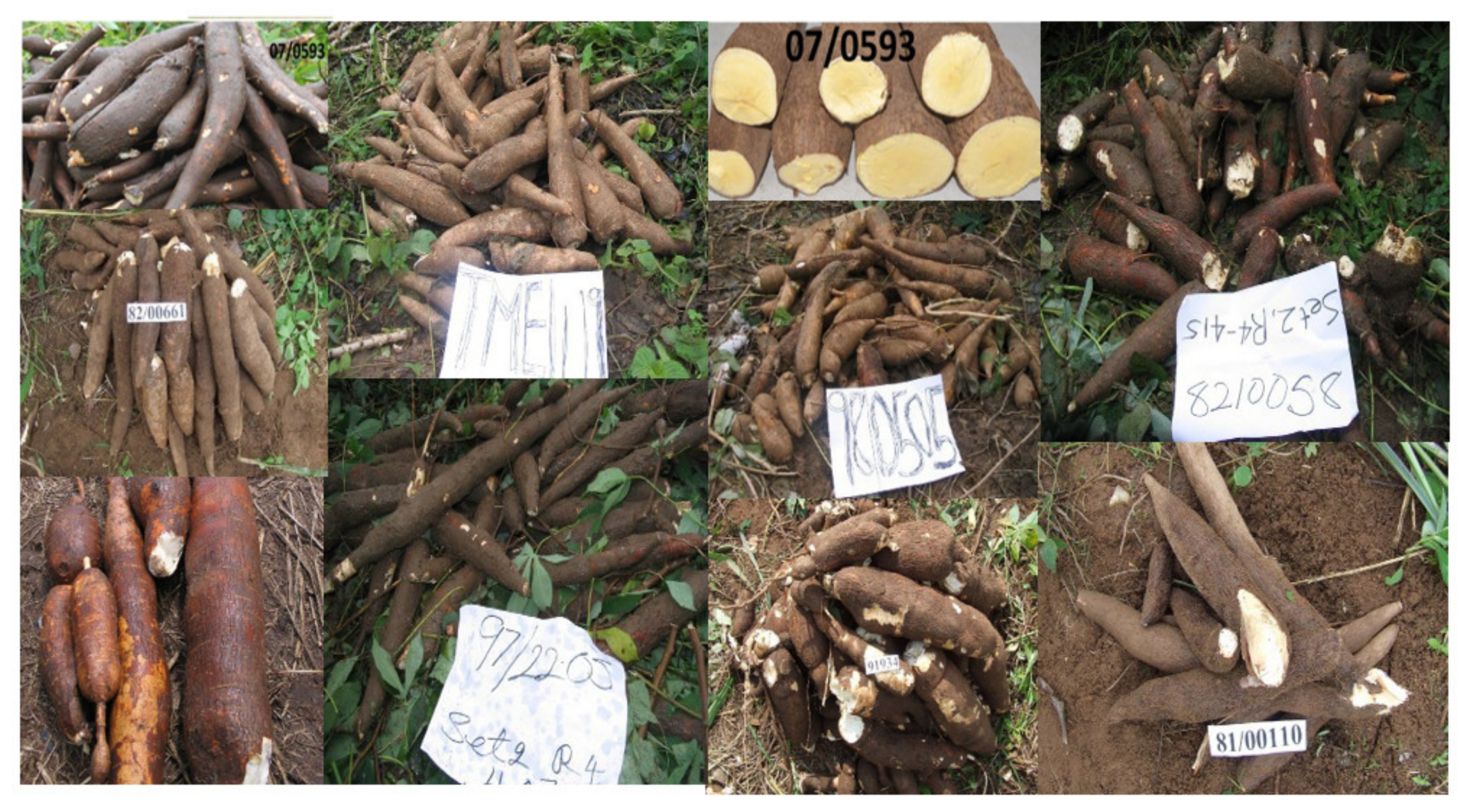 Processes 09 01891 g001 Processes 09 01891 g001