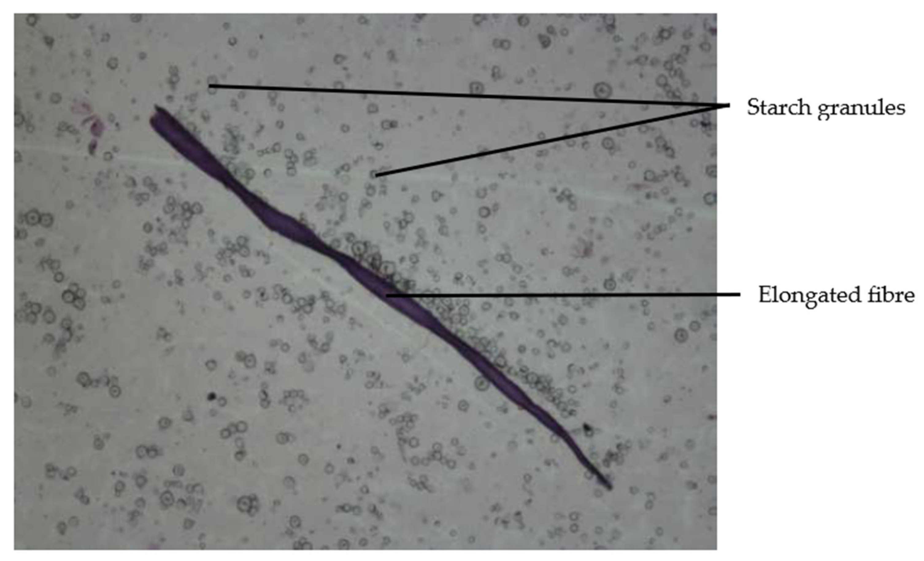 Processes 09 01891 g004 Processes 09 01891 g004