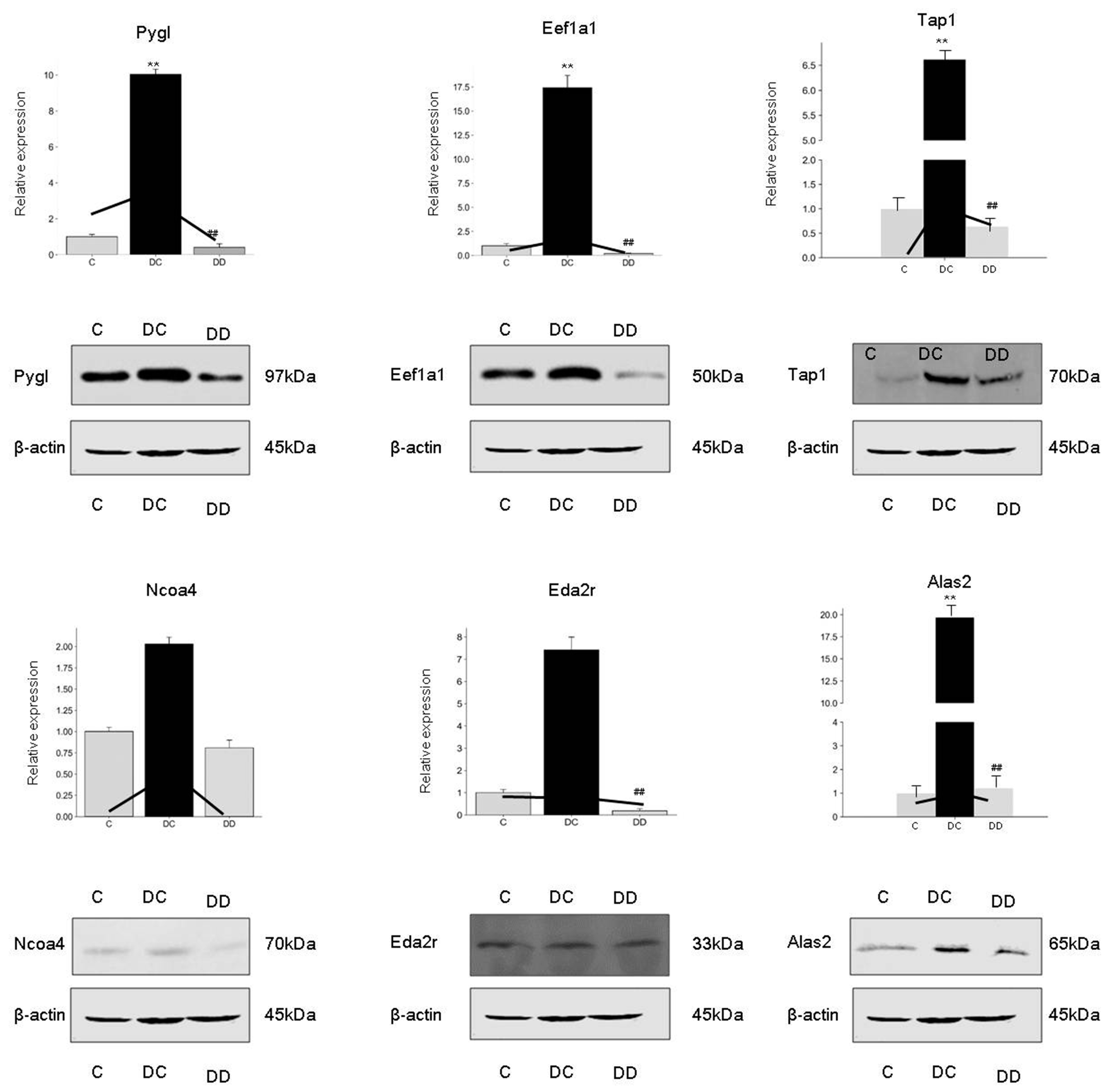 Processes 09 01898 g006 Processes 09 01898 g006