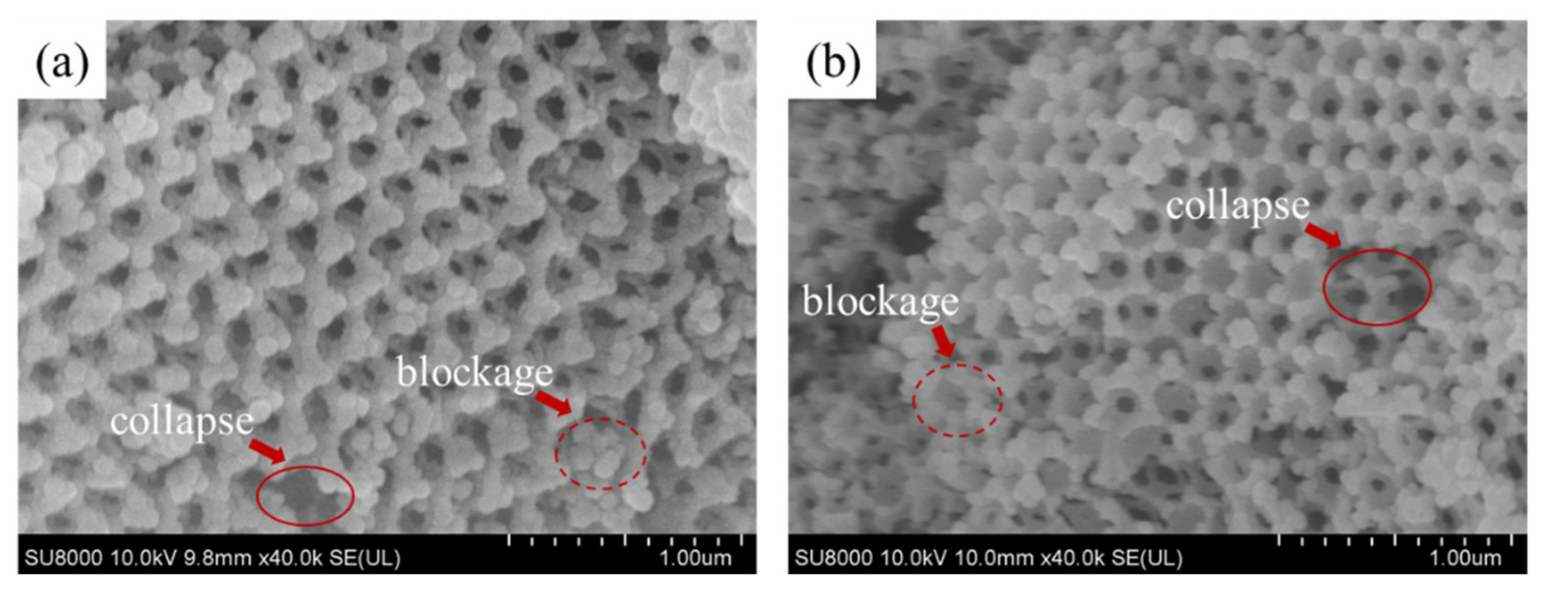 Processes 09 01925 g008 Processes 09 01925 g008