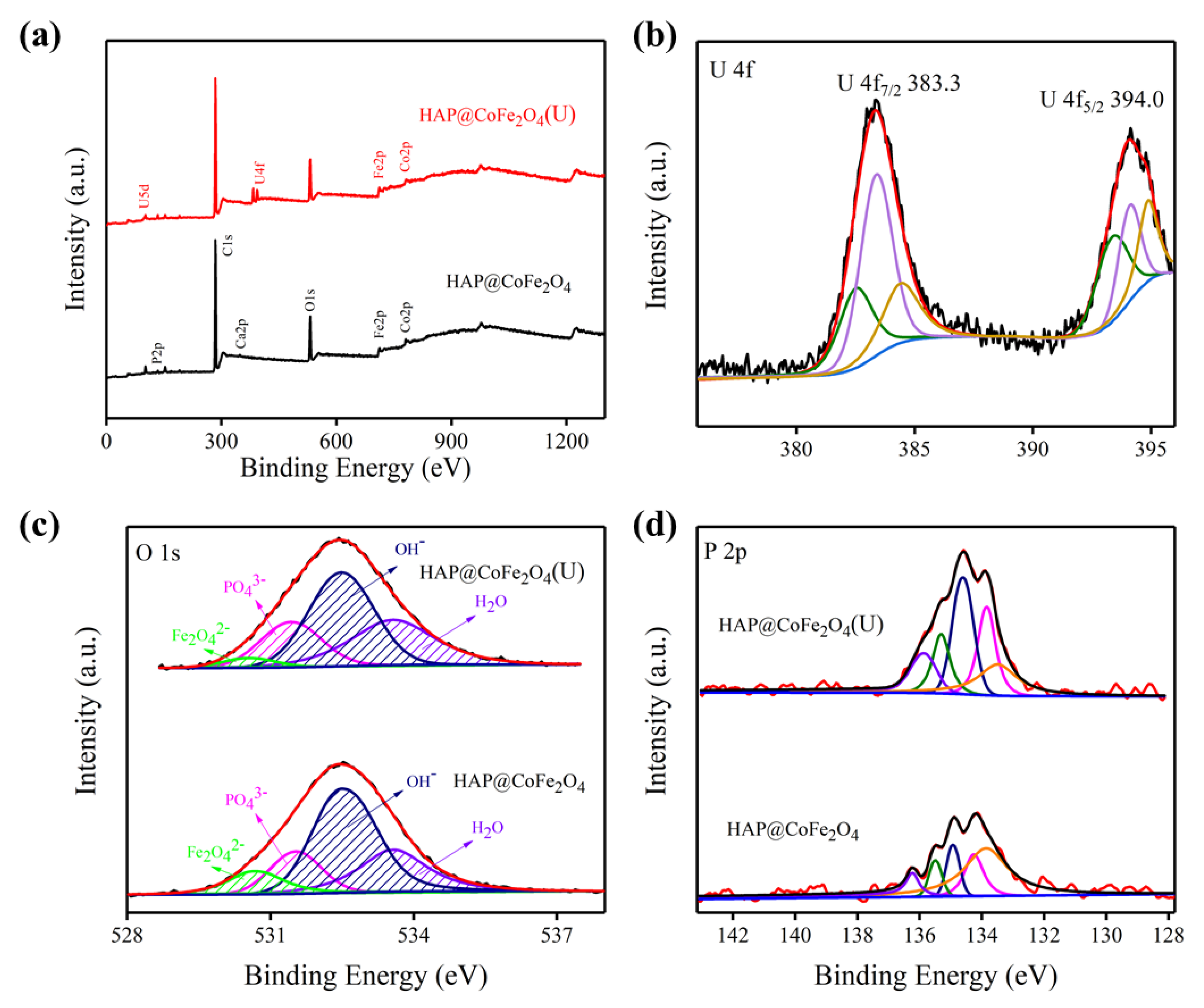 Generation of Lens Progenitor Cells and Lentoid Bodies from