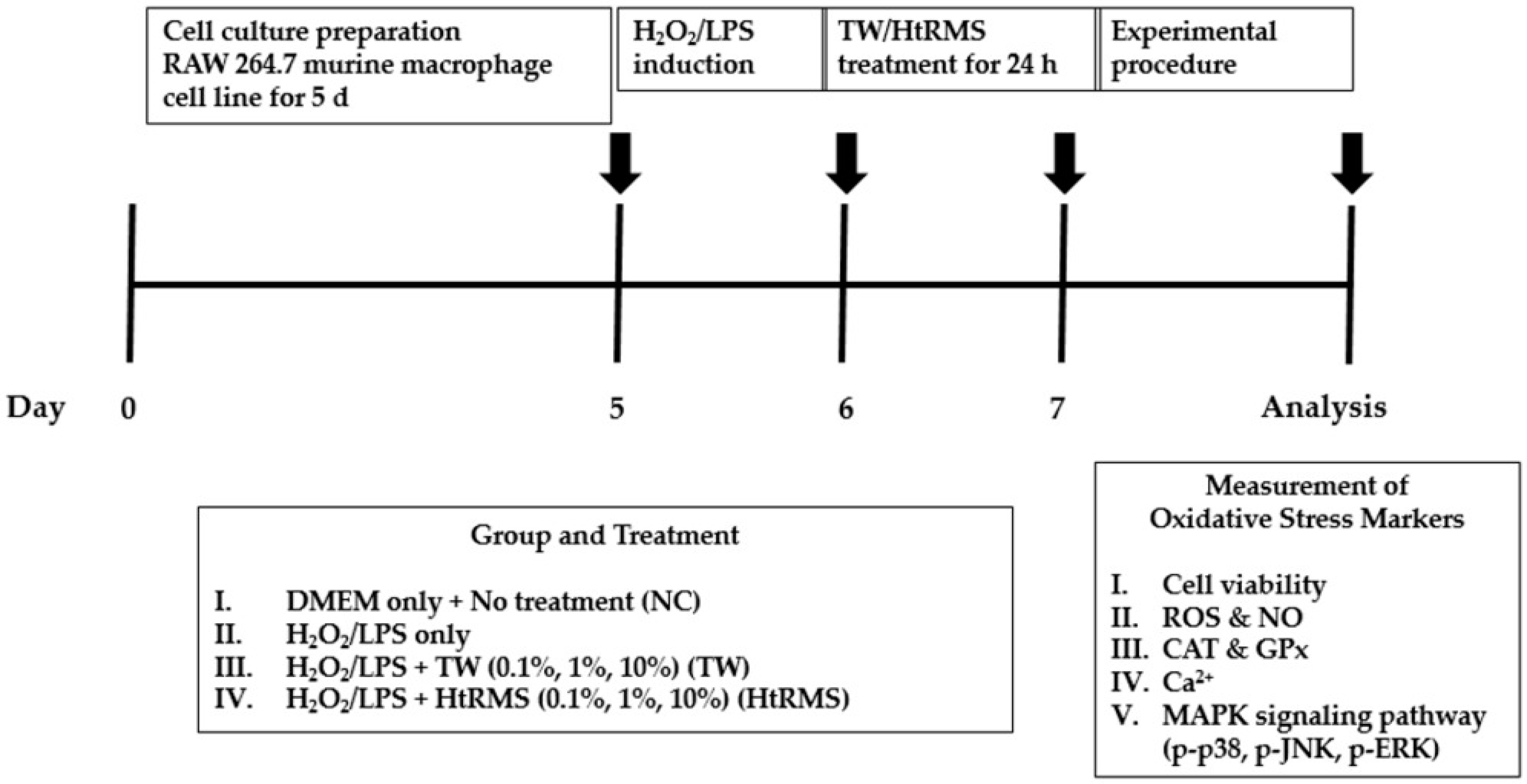 Processes 09 01928 g001