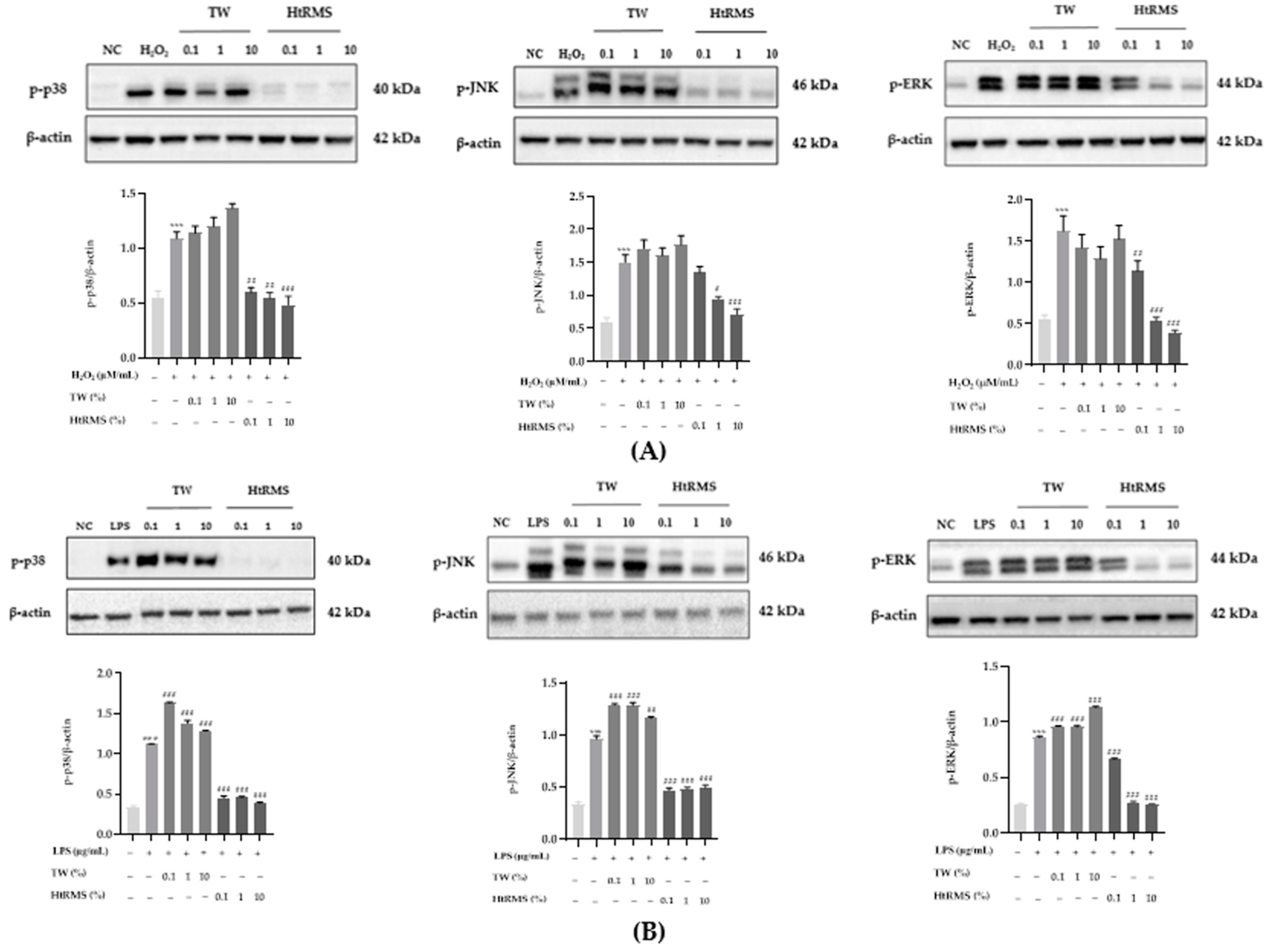 Processes 09 01928 g006