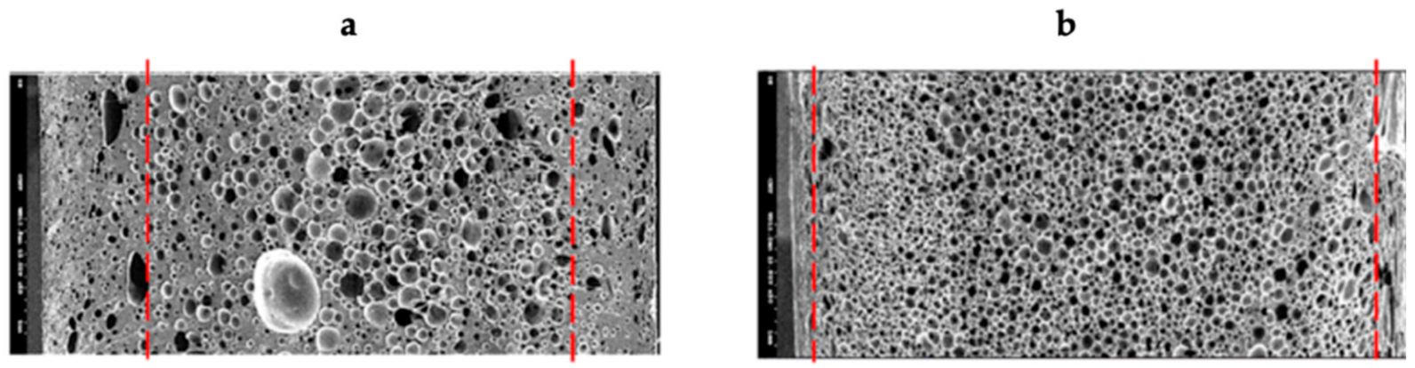 Processes 09 01929 g005