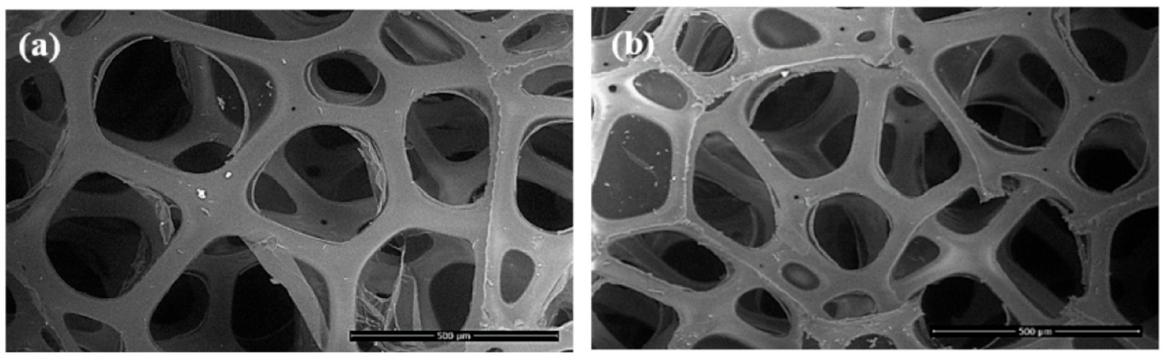 Processes 09 01929 g010