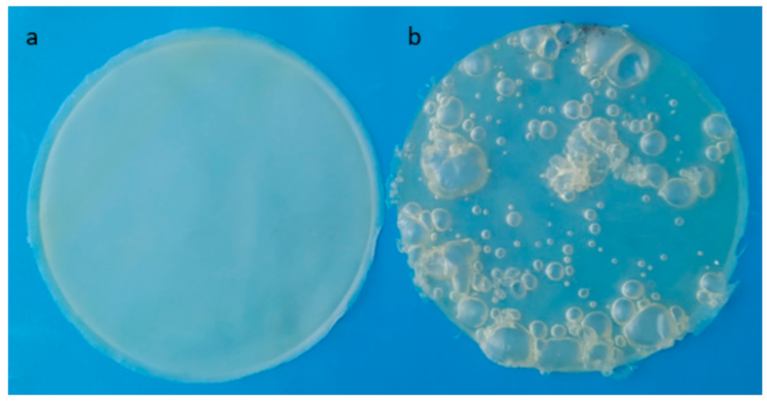 Processes 09 01929 g011