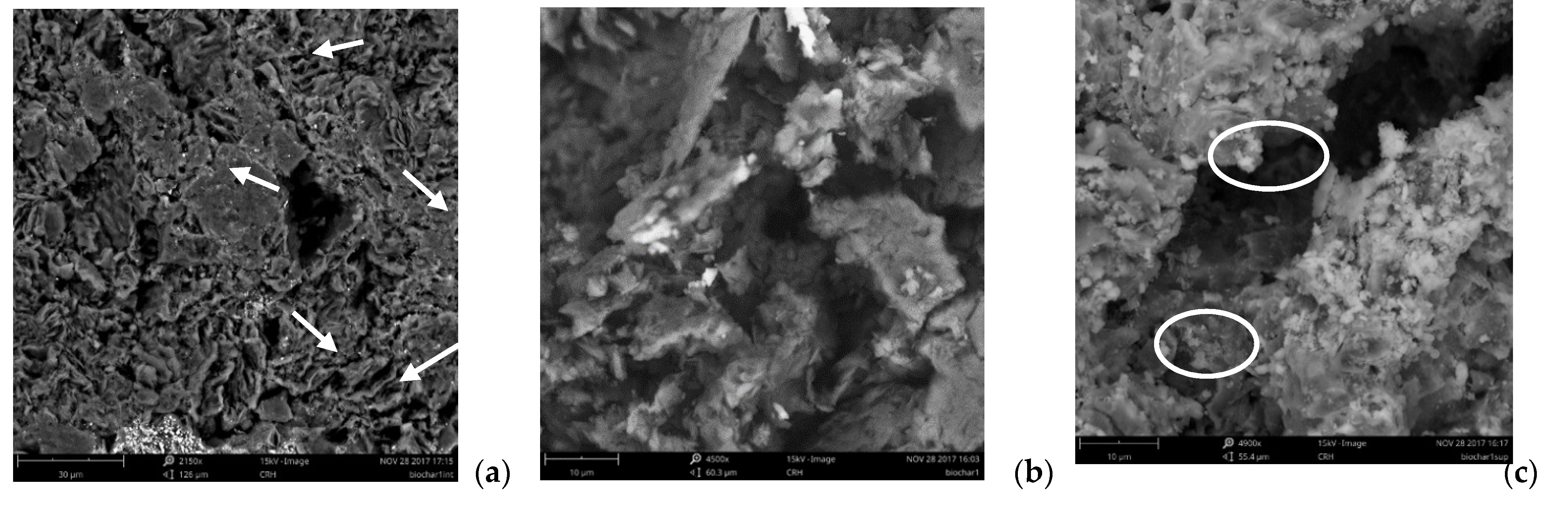 Processes 09 01941 g003