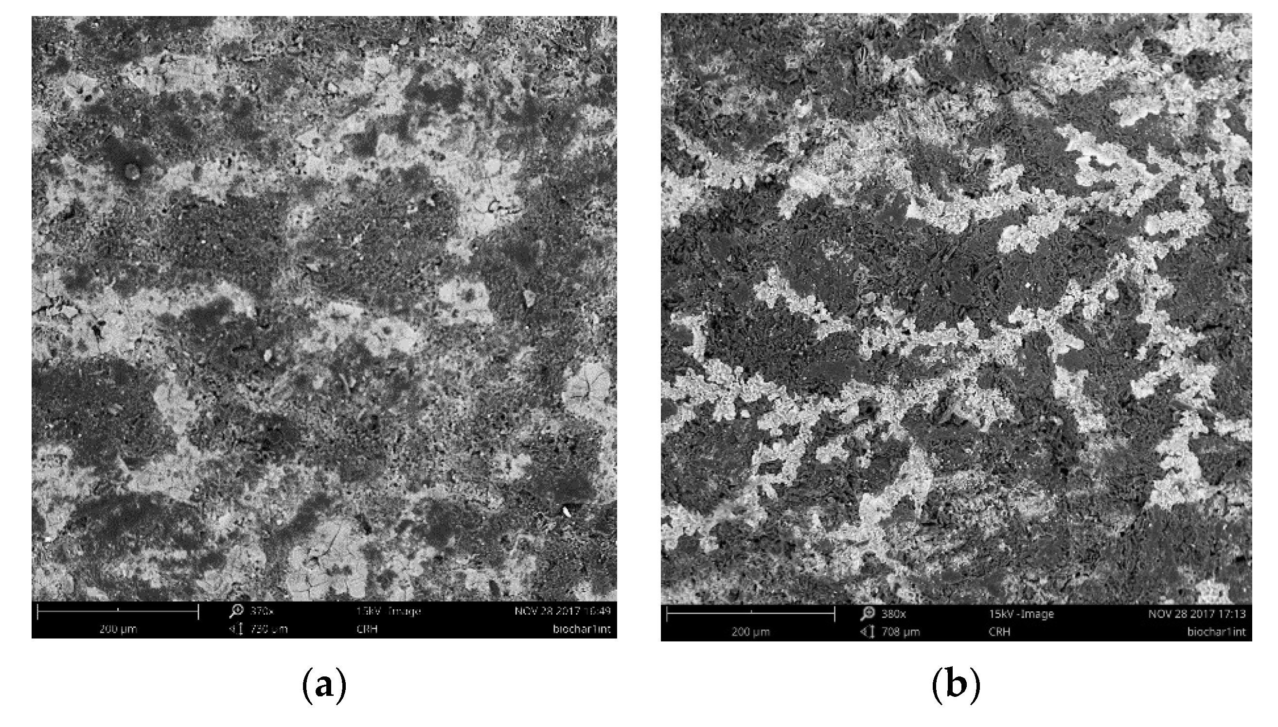 Processes 09 01941 g004
