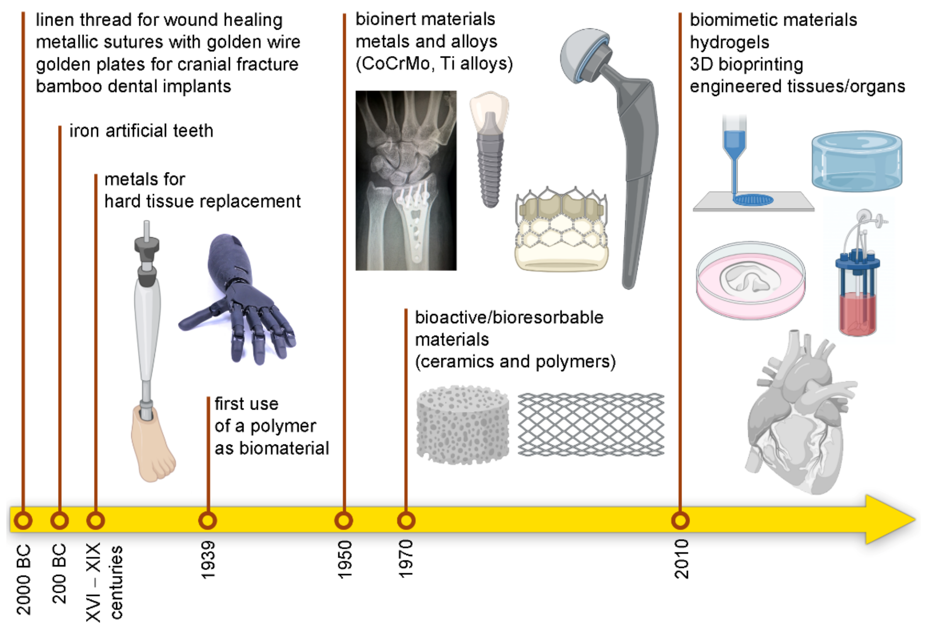 Processes | Full-Text and Their Biomedical Applications: From to Regeneration
