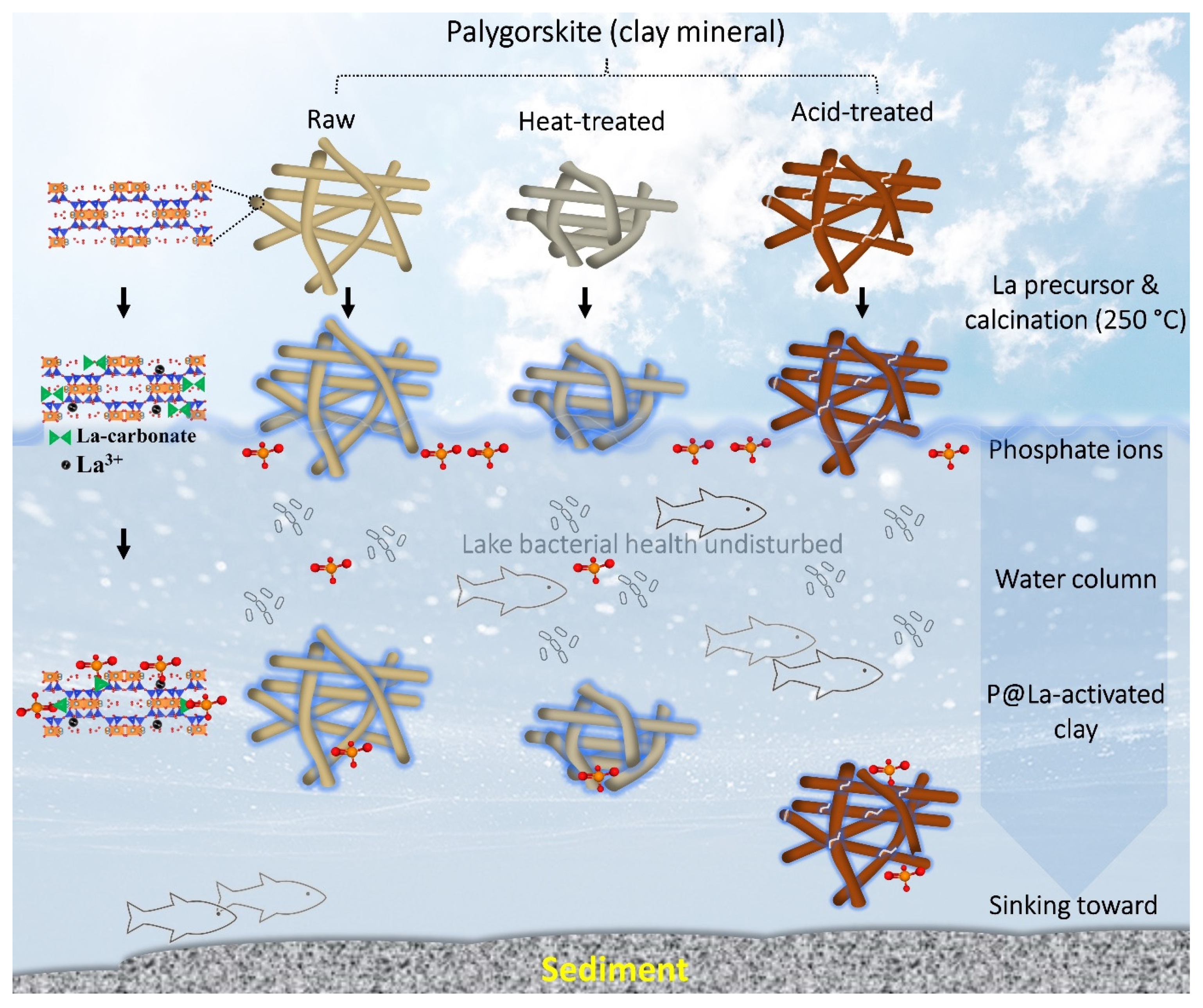 Processes 09 01960 g009