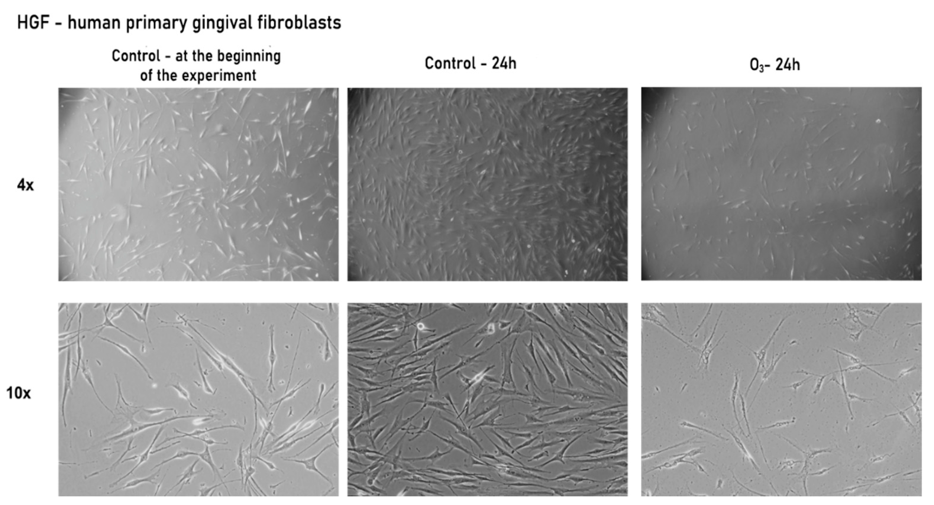 Processes 09 01978 g002