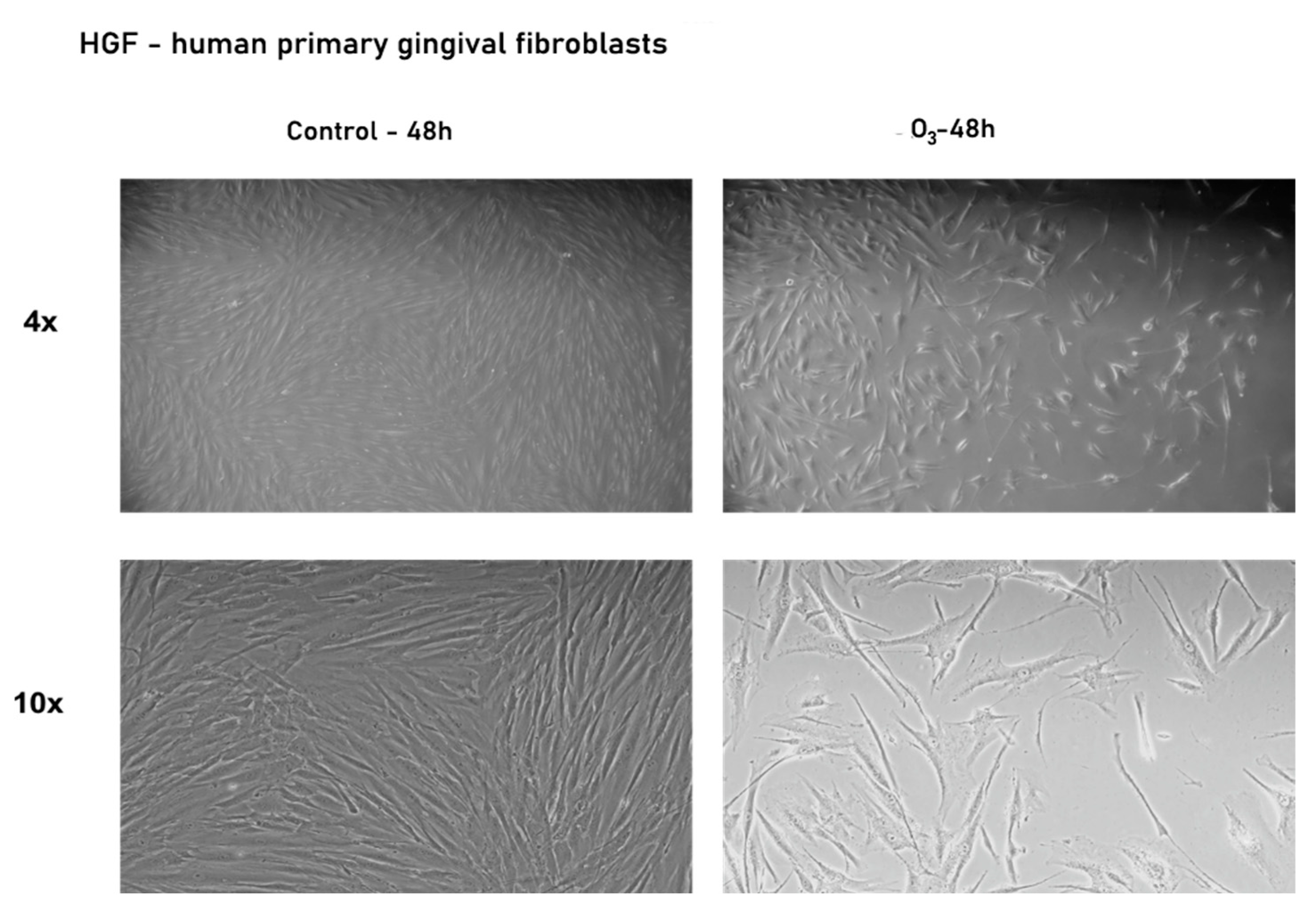 Processes 09 01978 g003