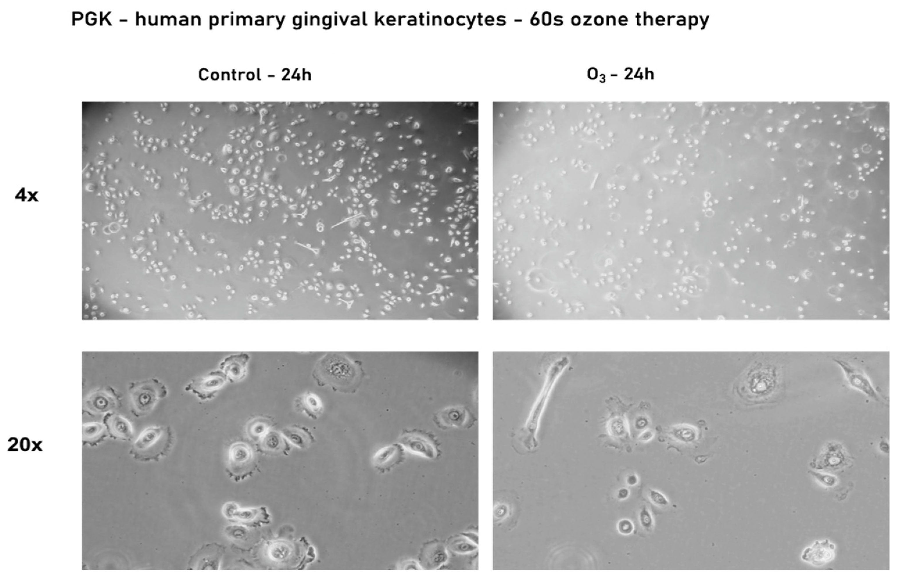 Processes 09 01978 g006