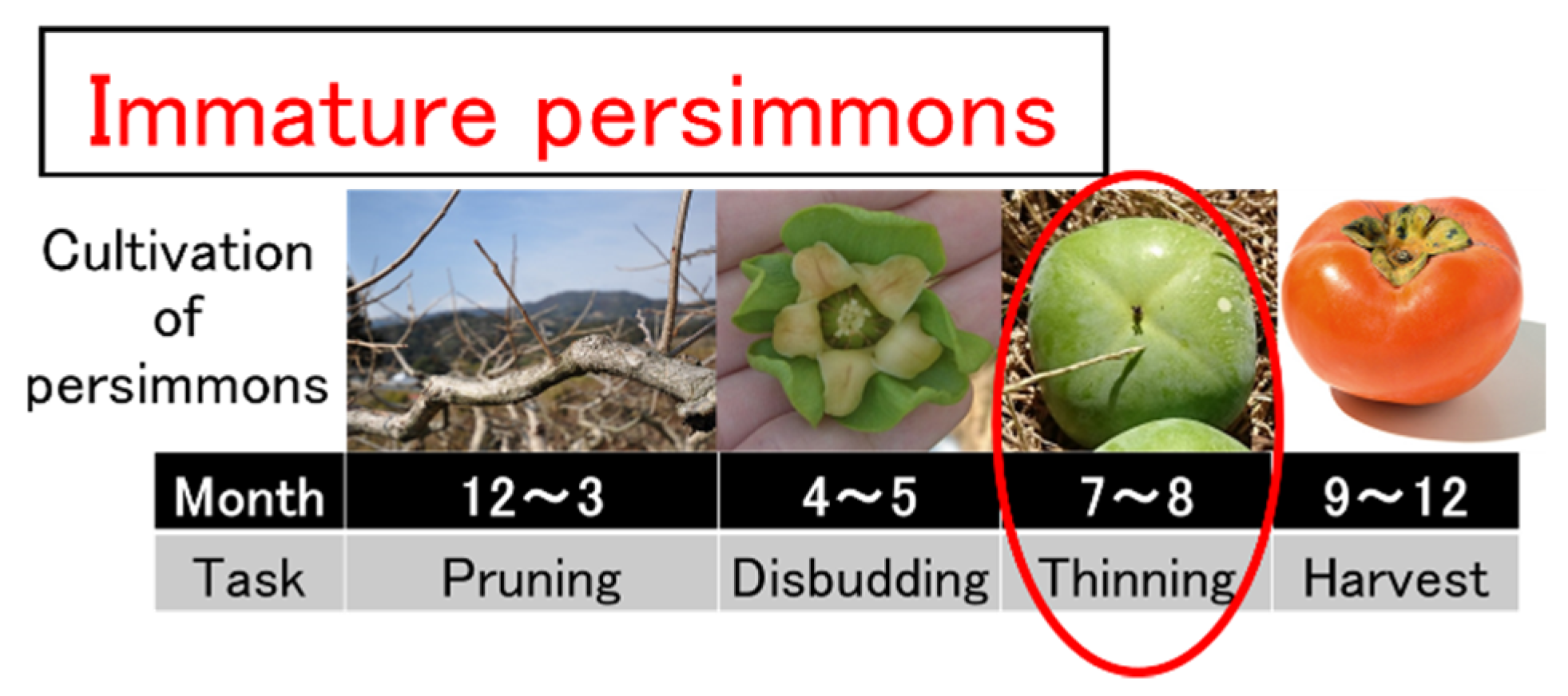 Processes 09 01989 g001