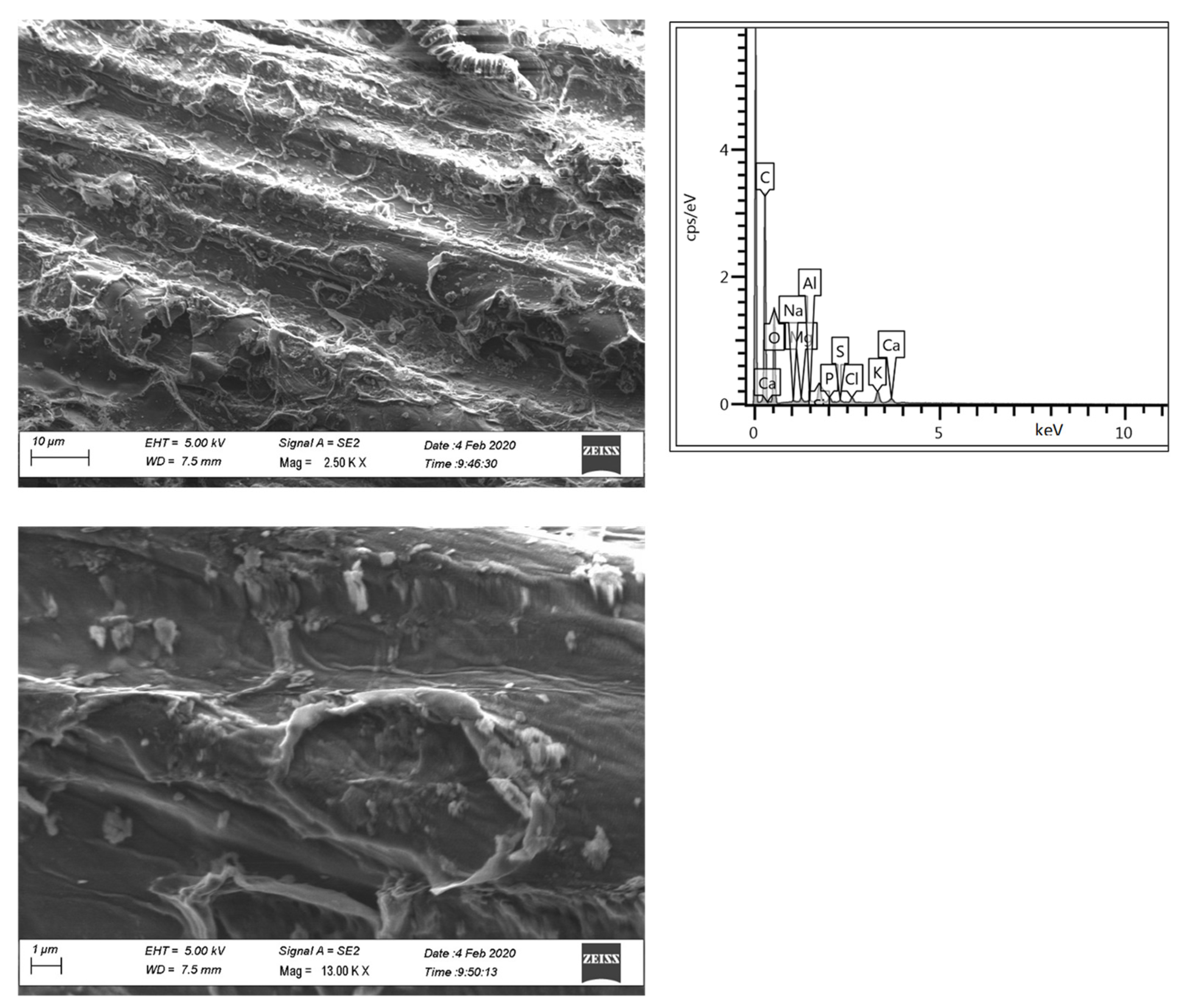 Processes 09 02018 g001 550