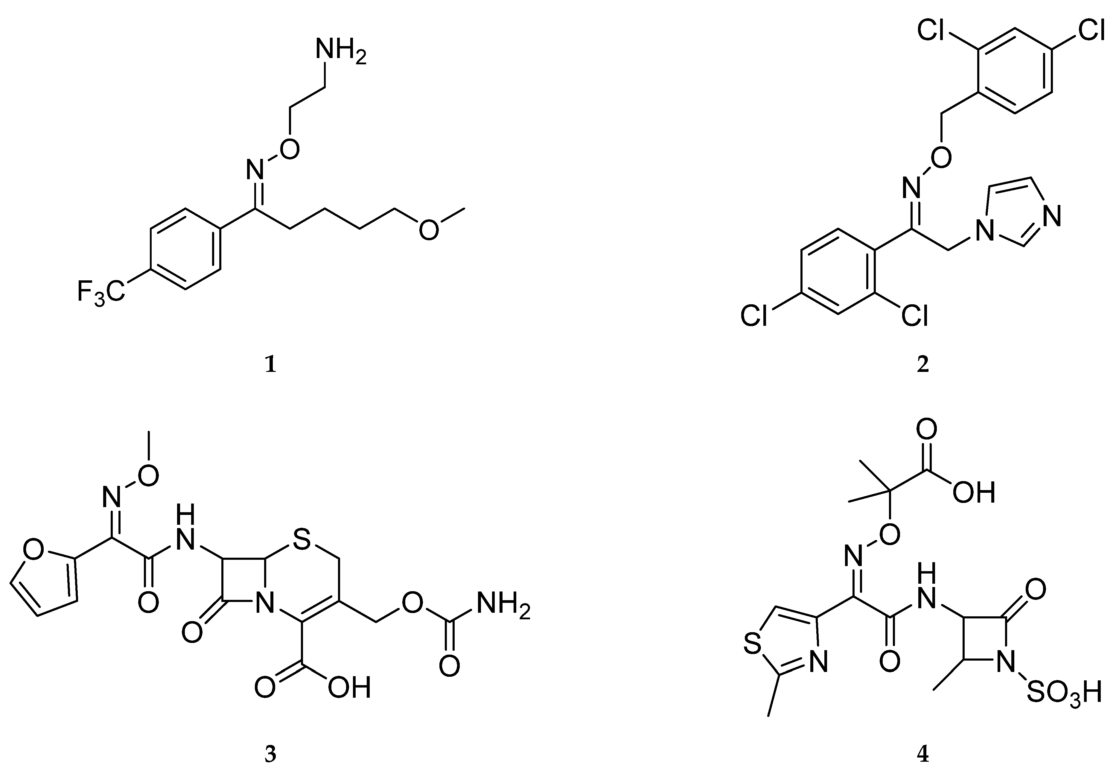 Processes 09 02019 g001