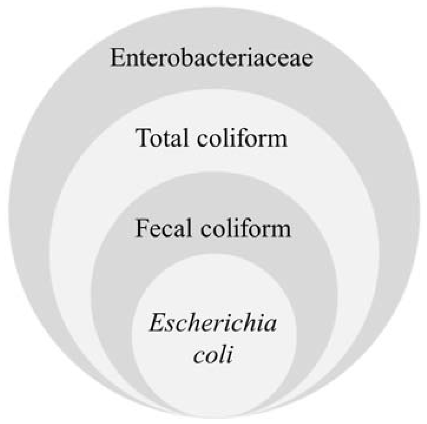 Processes 09 02058 g002