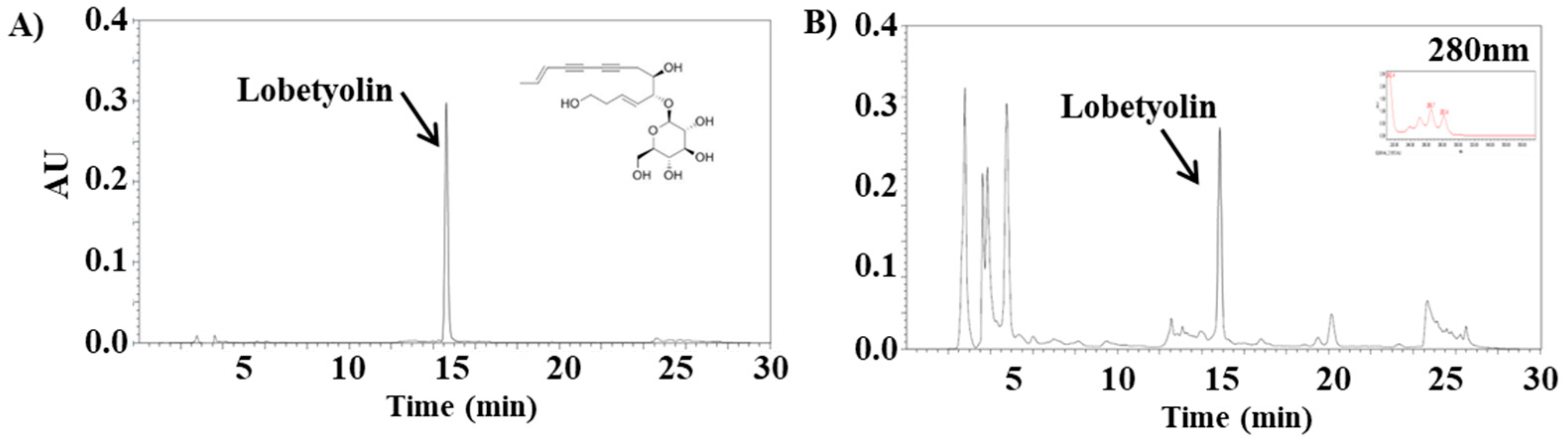 Figure 1. Identification of lobetyolin in C. lanceolata by HPLC analysis. (A) standard (B) sample extract.