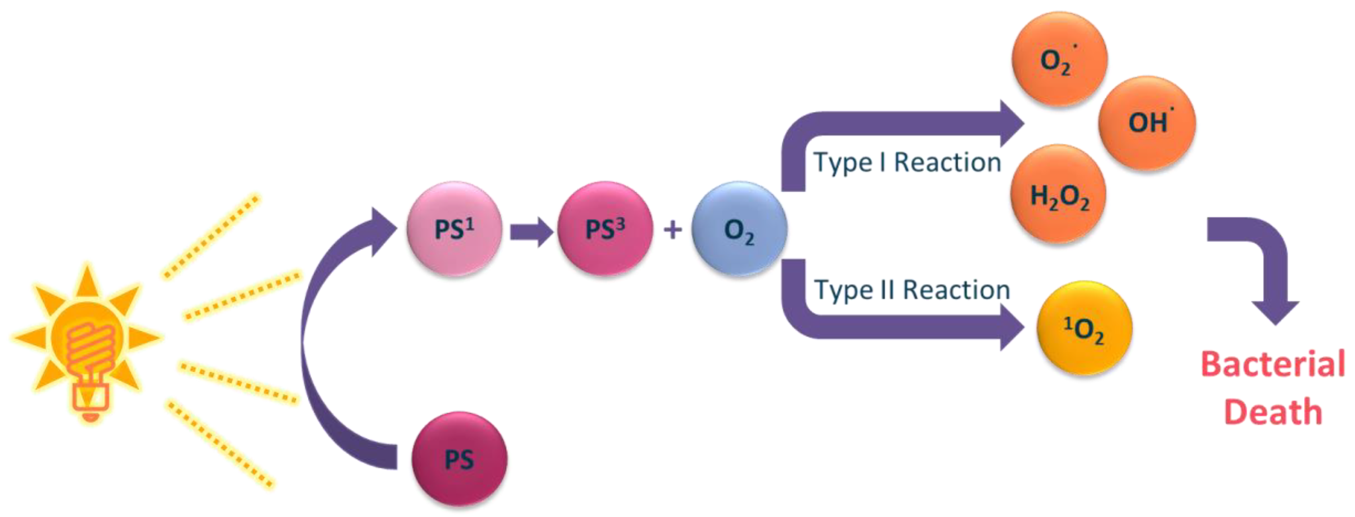 Processes, Free Full-Text