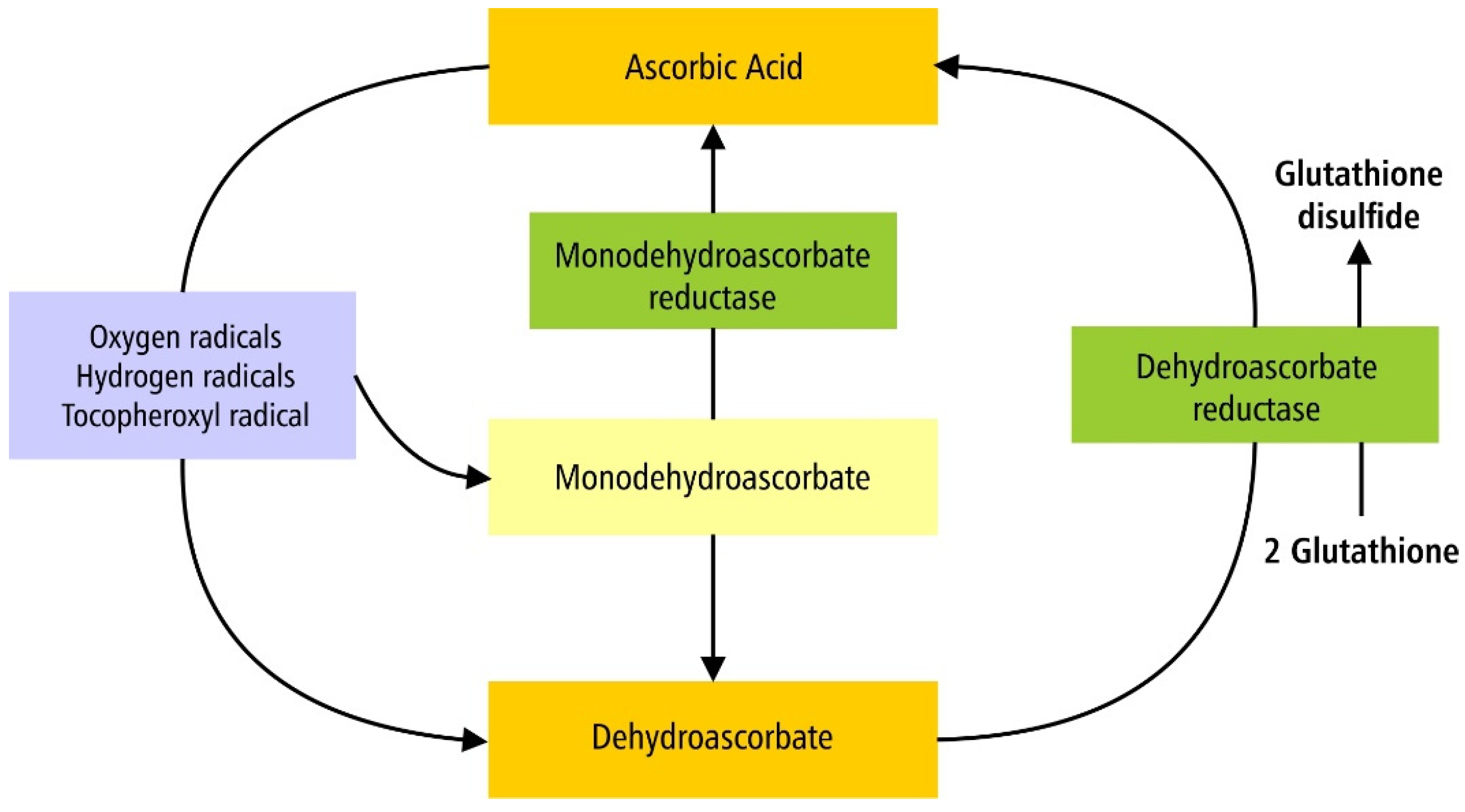 Processes 09 02098 g001 550