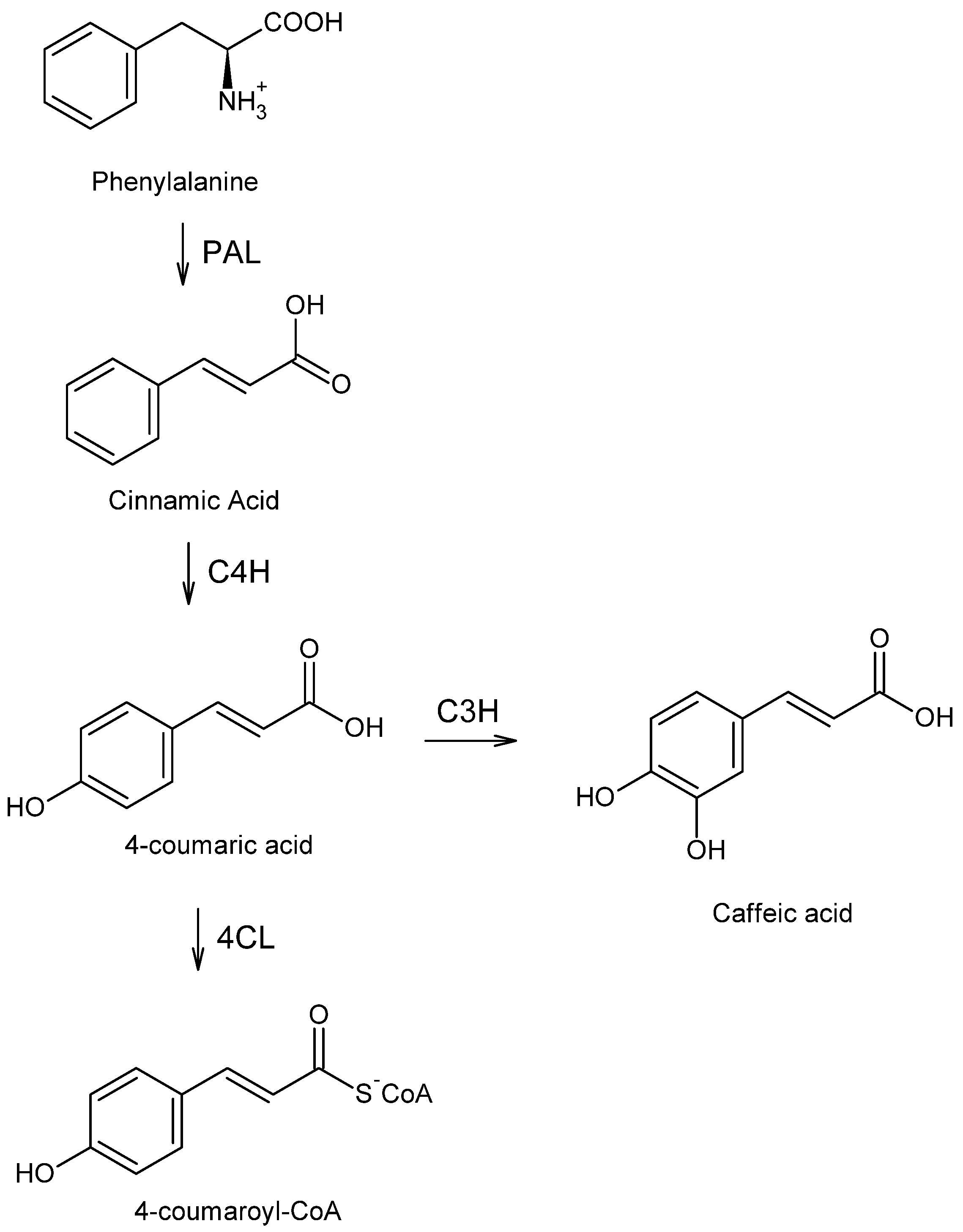 Processes 09 02098 g002 550