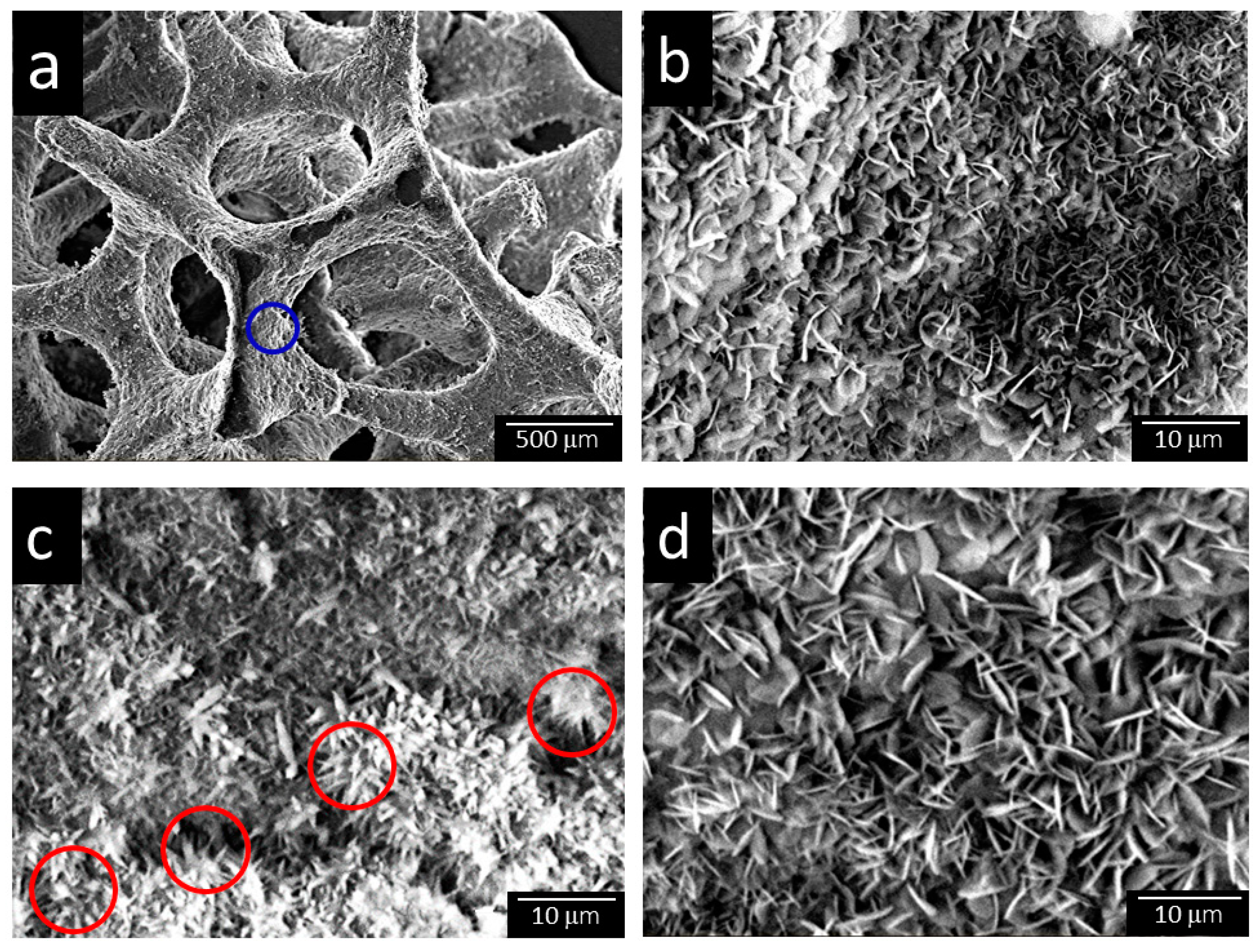 Processes 09 02109 g003