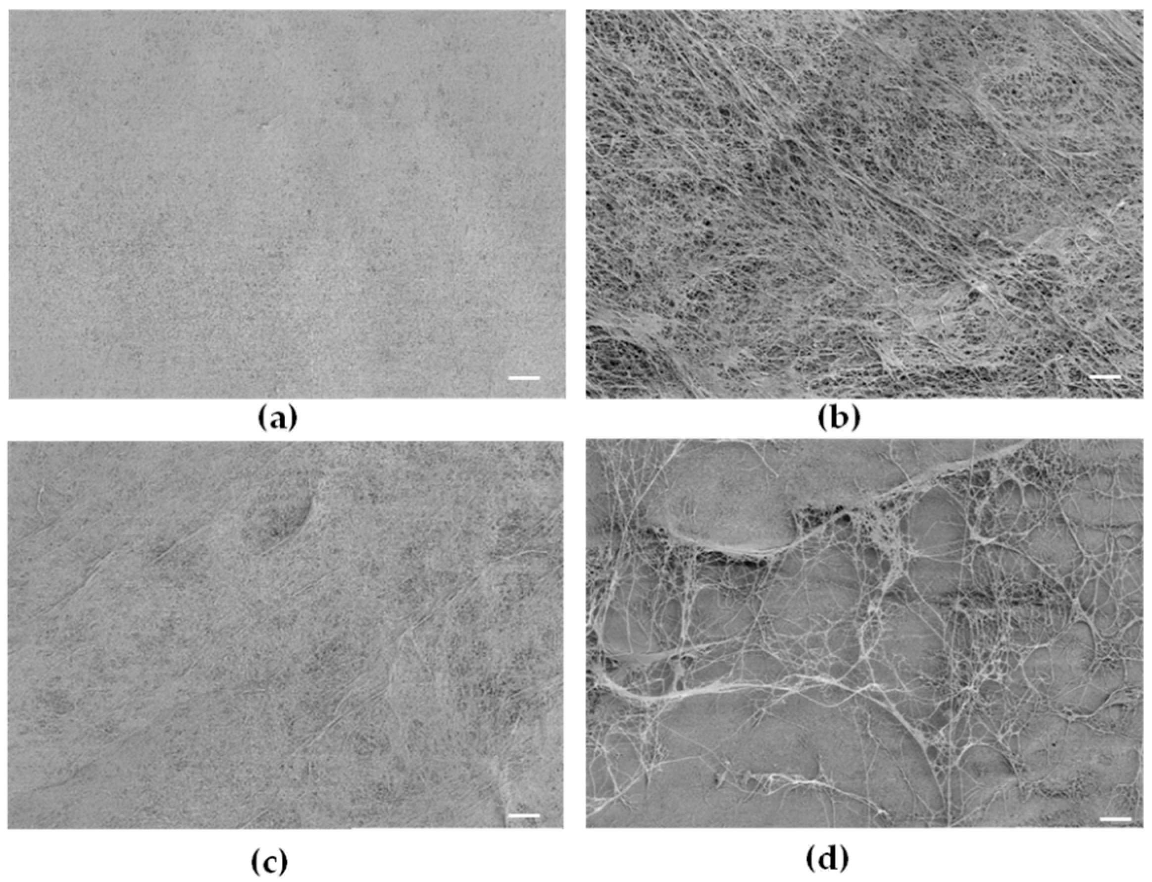 Processes 09 02114 g002
