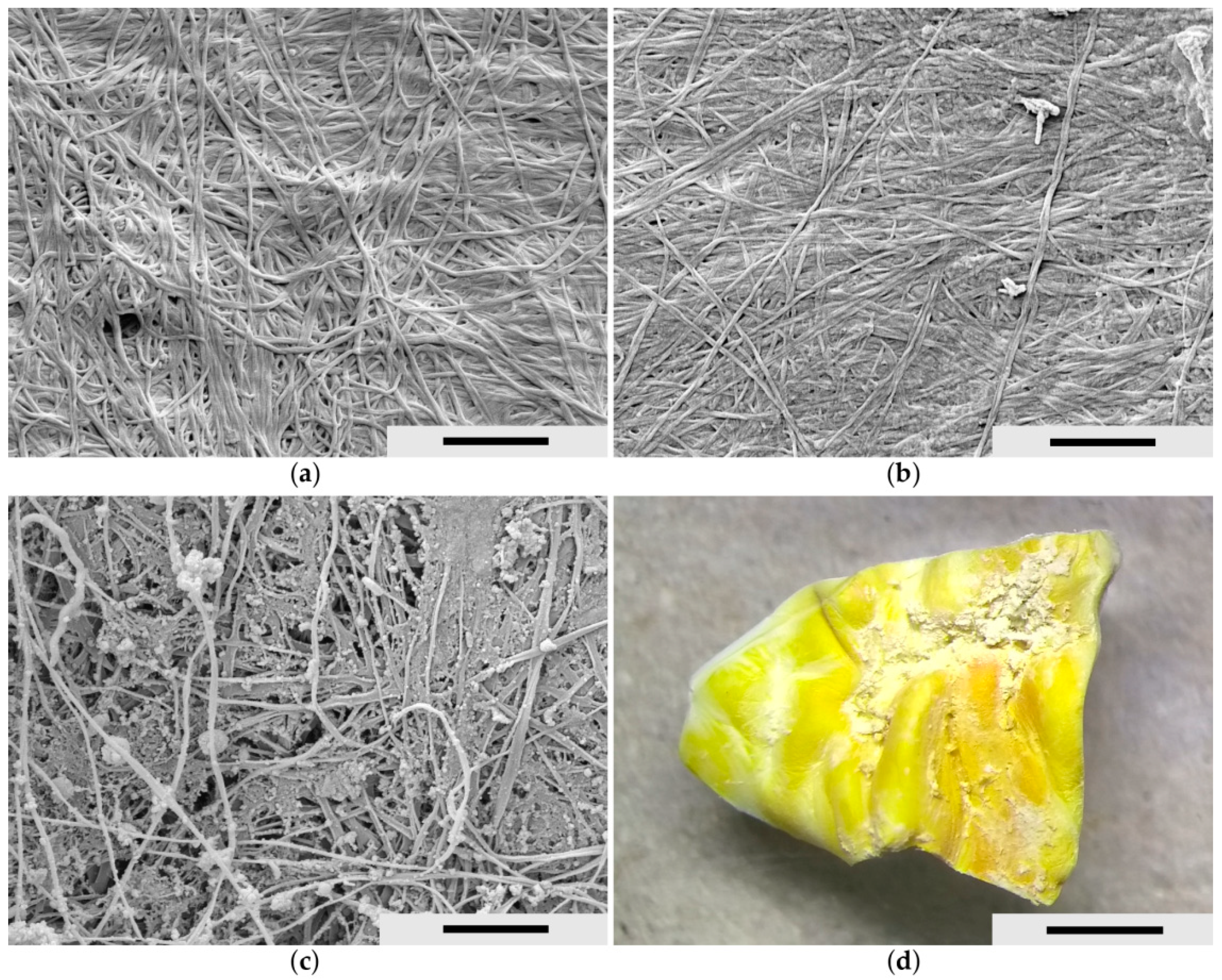 Processes 09 02114 g003