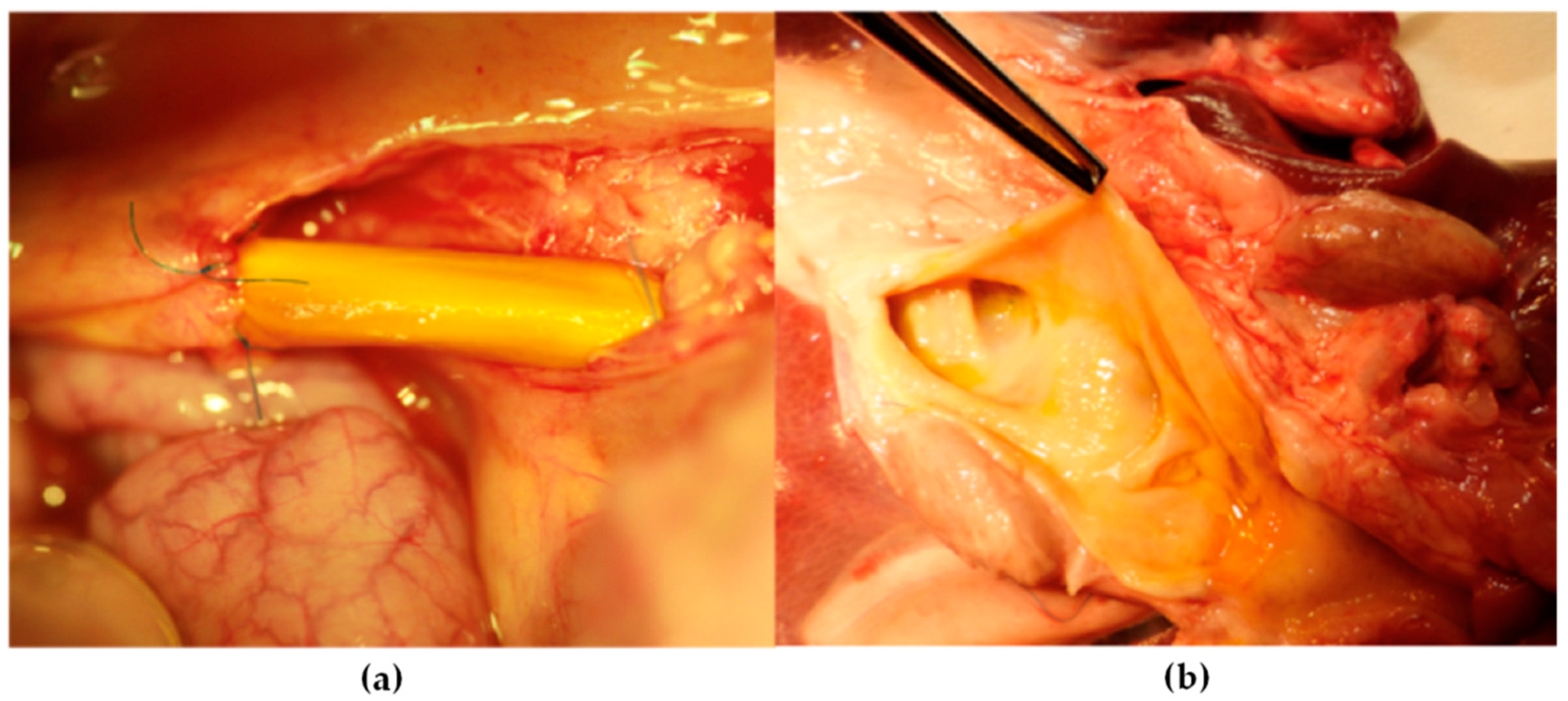 Processes 09 02114 g004