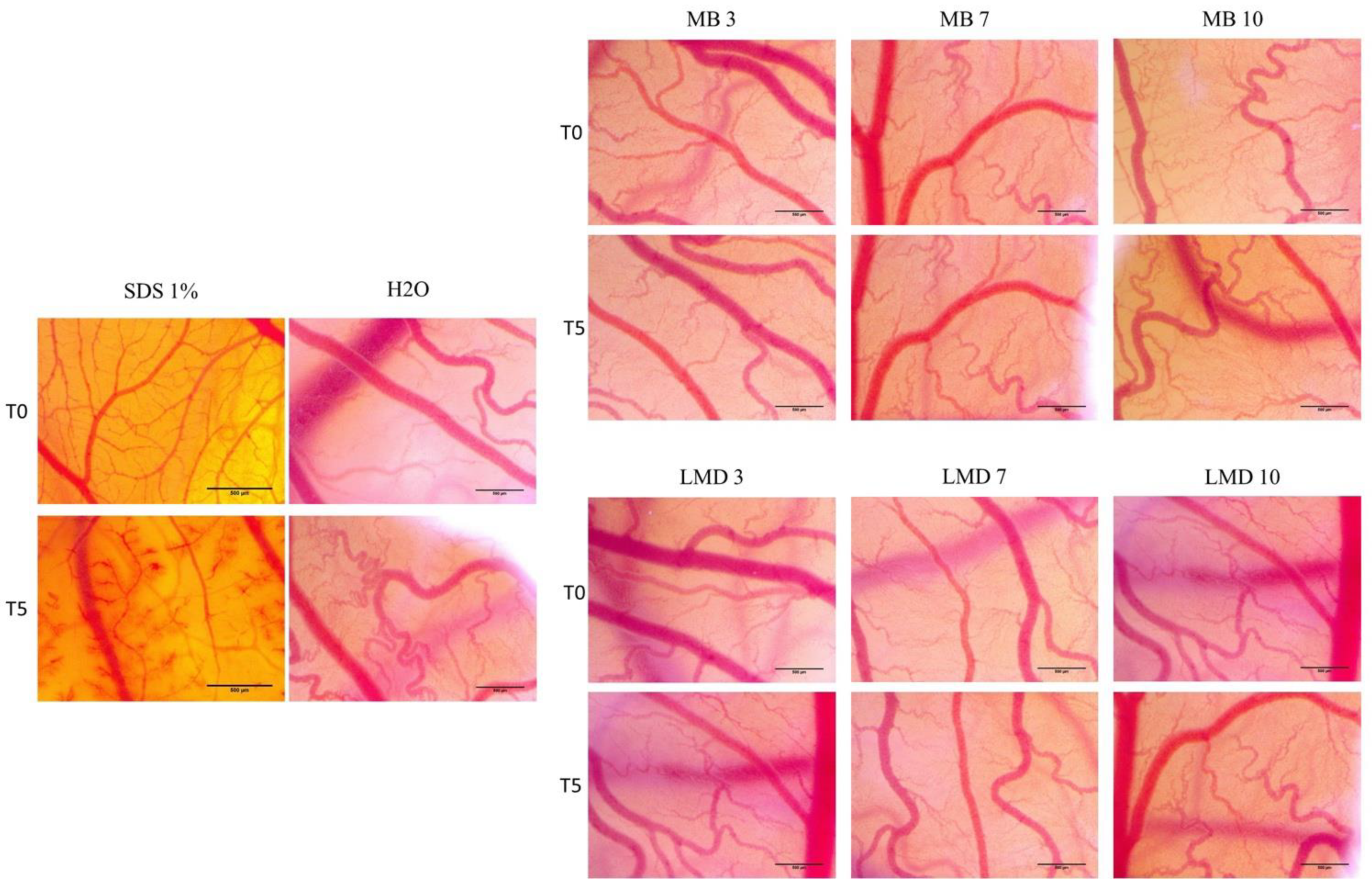 Processes 09 02116 g006 Processes 09 02116 g006