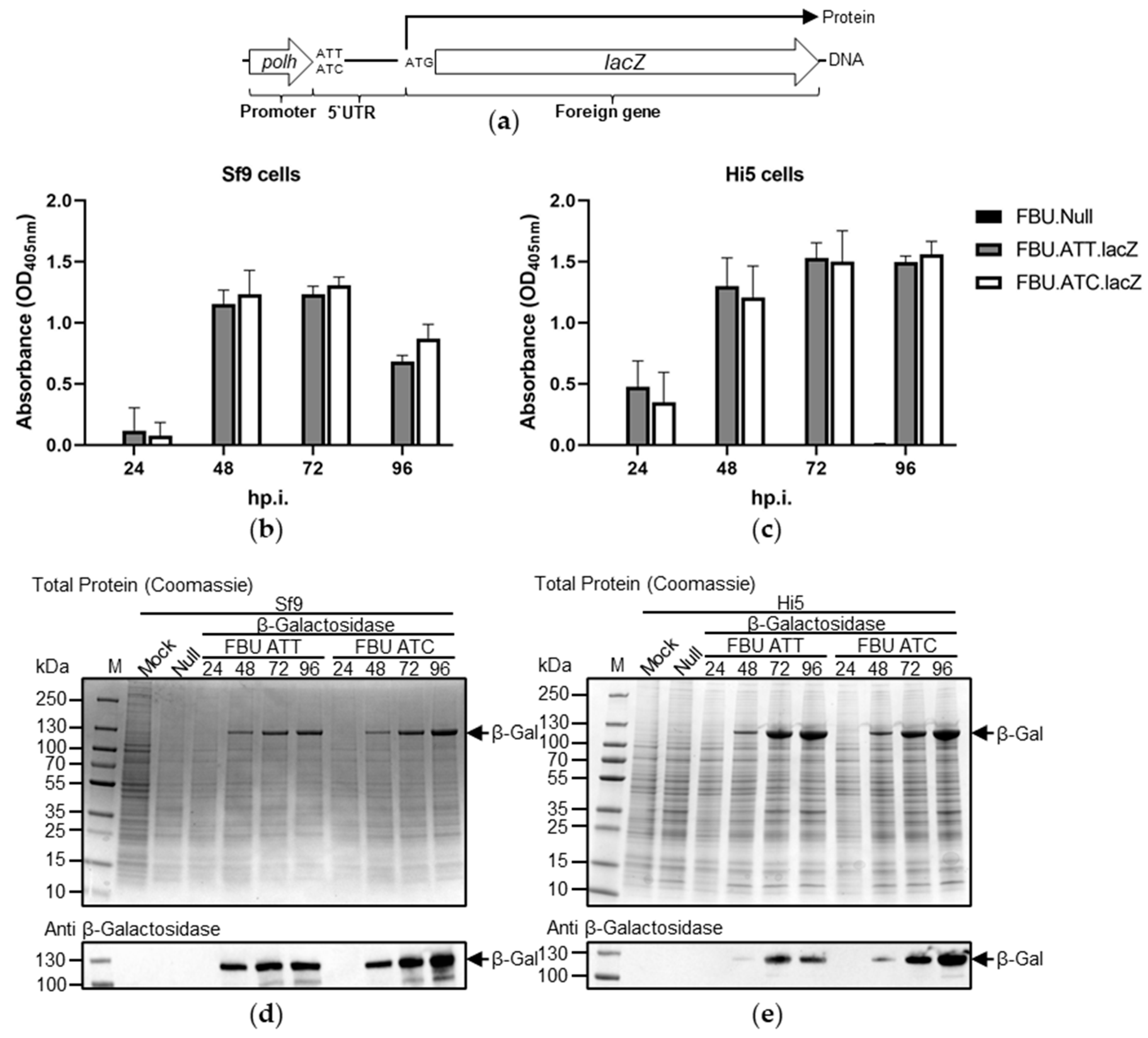 Processes 09 02118 g004