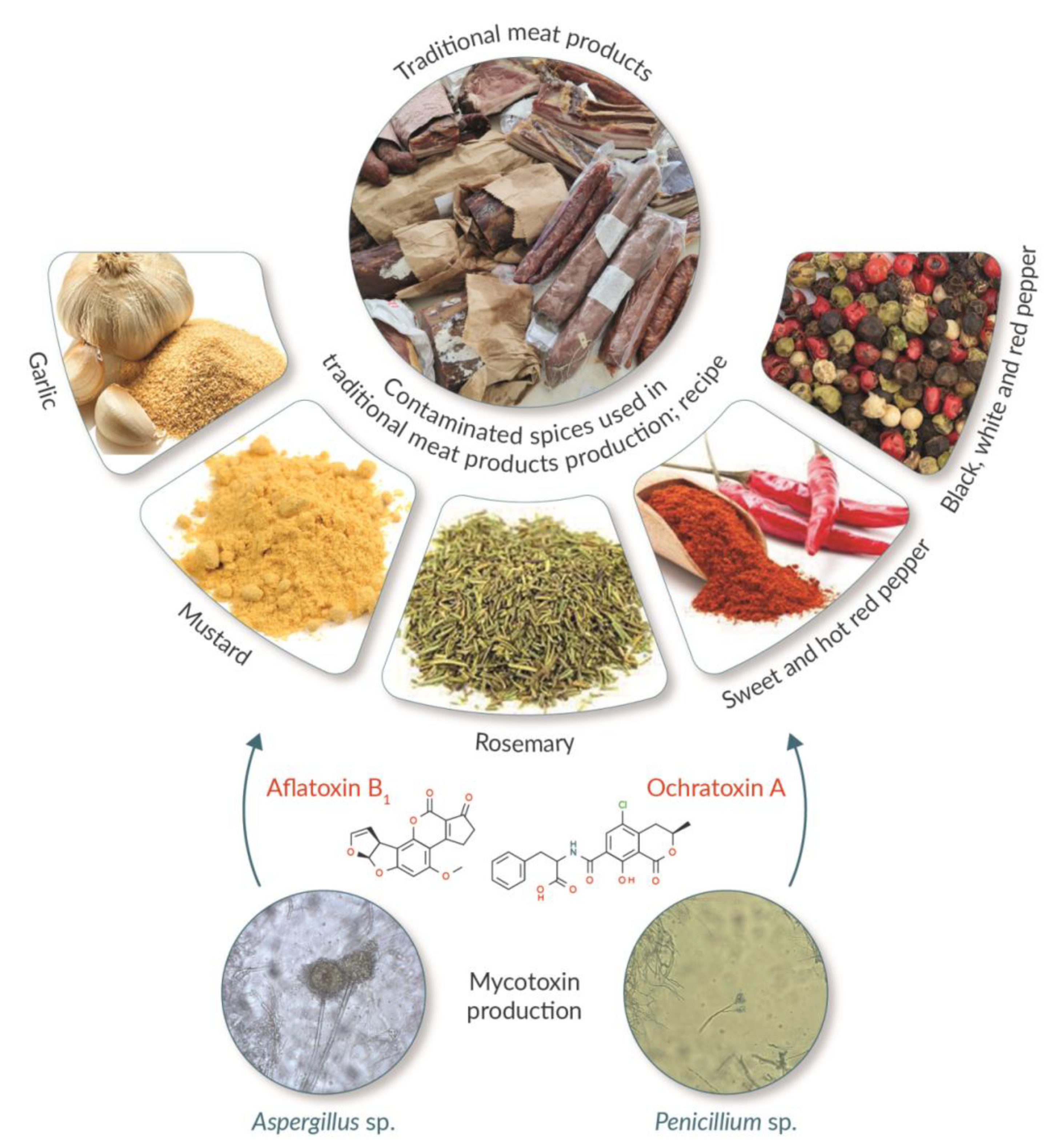 Processes 09 02122 g001 Processes 09 02122 g001