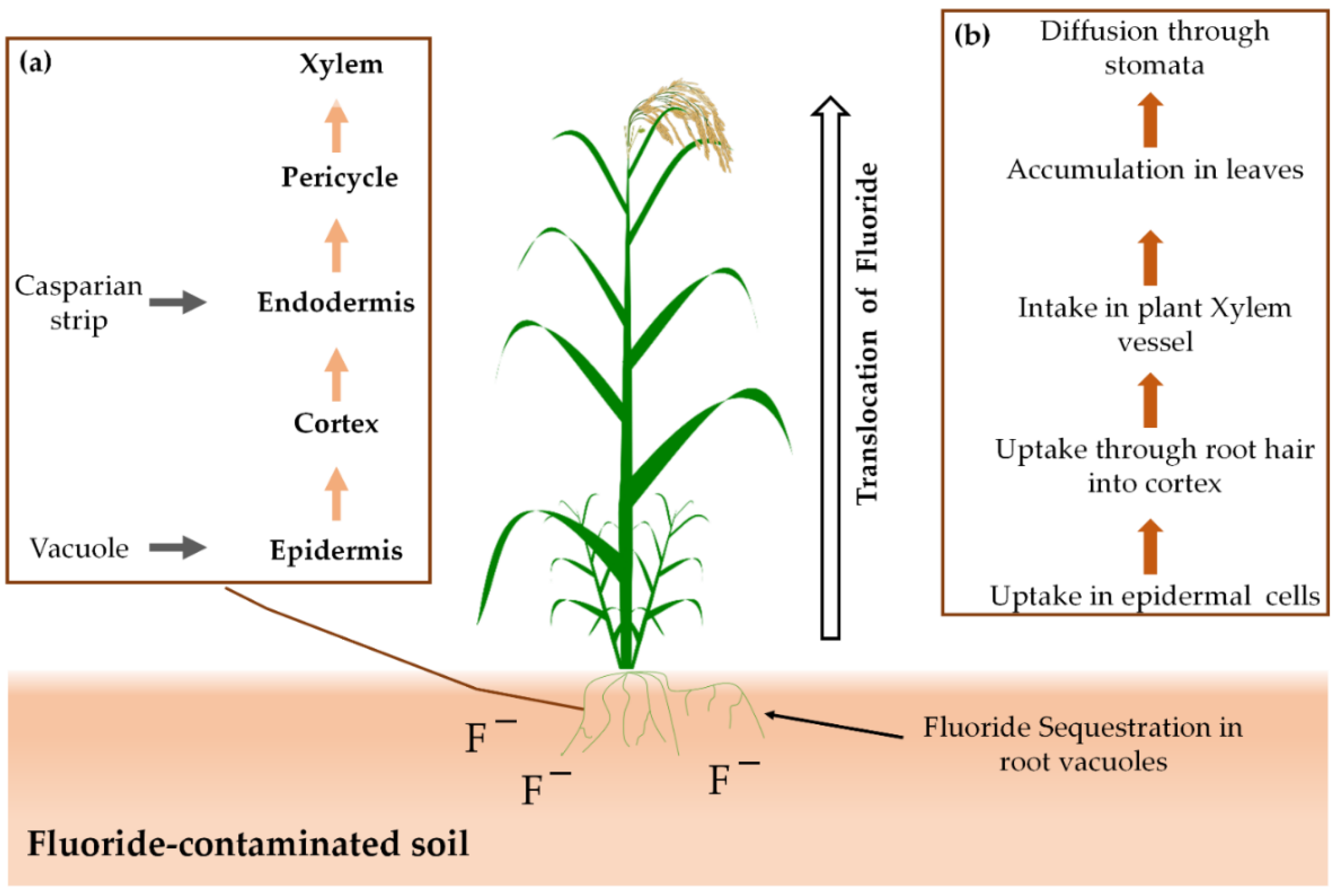 Processes 09 02154 g002