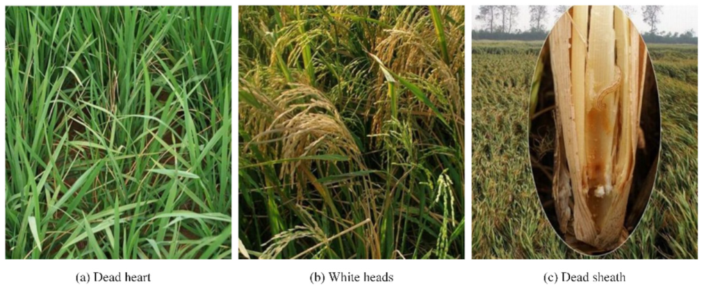 Processes 09 02166 g001