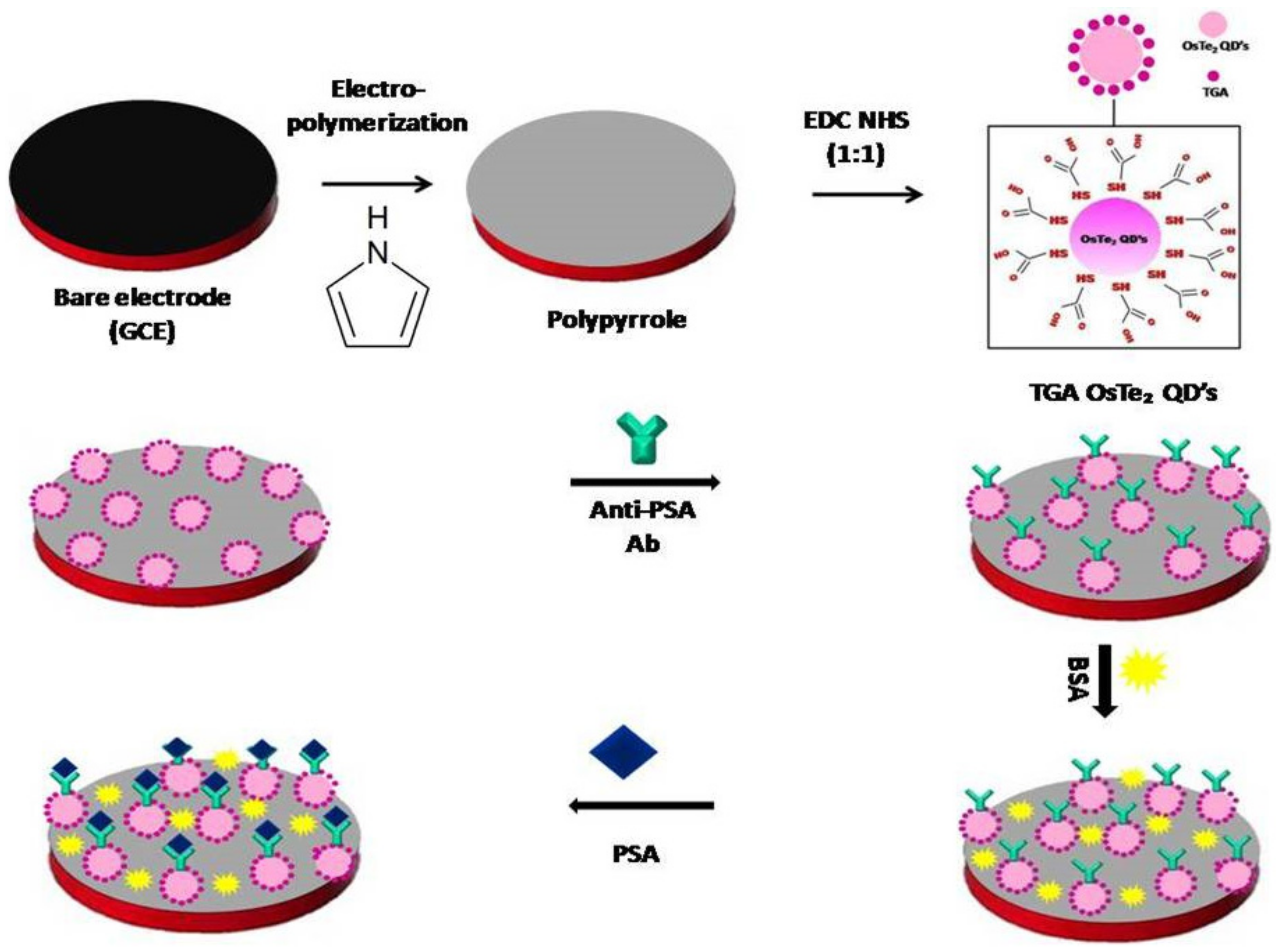 Processes 09 02203 g001 Processes 09 02203 g001